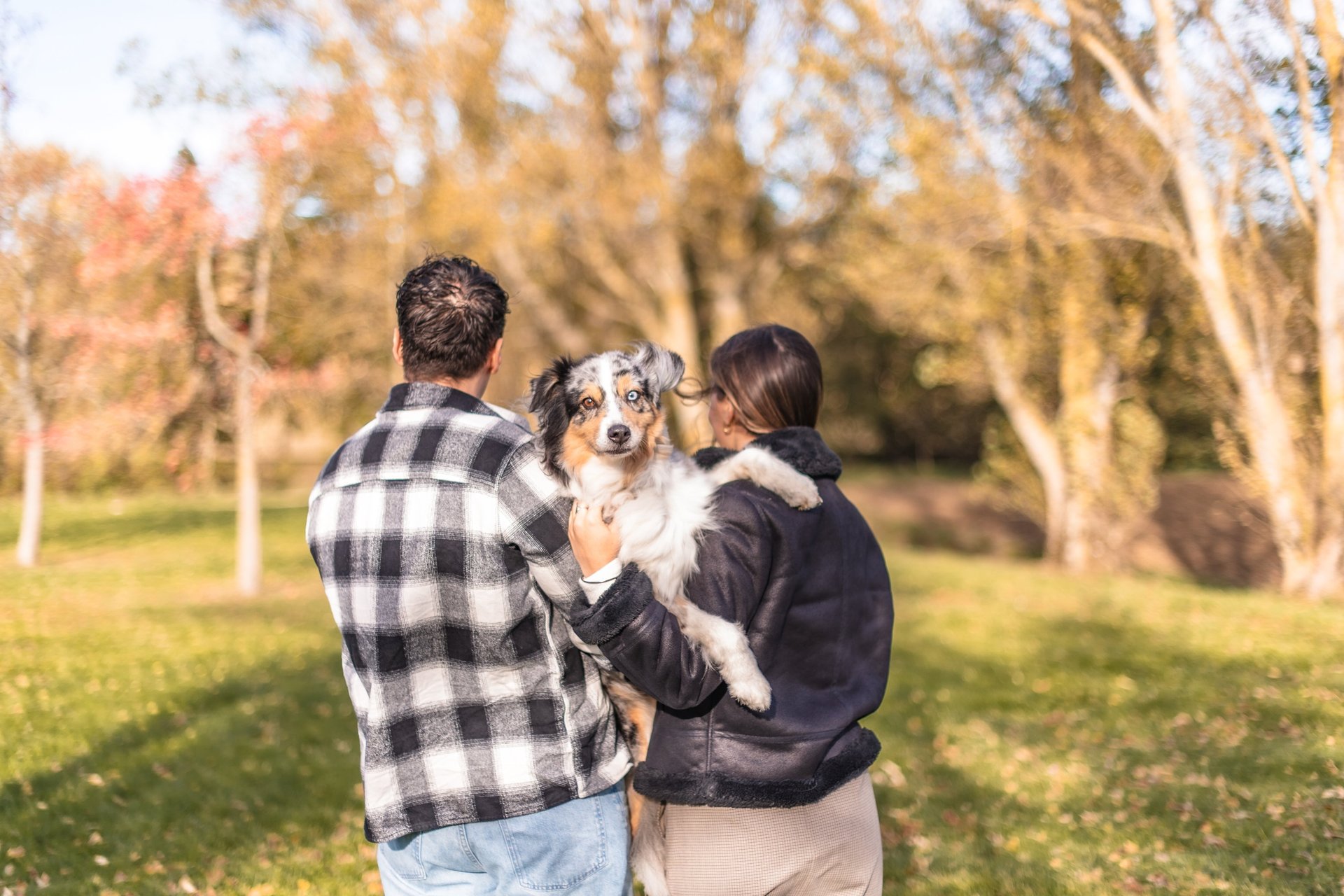 séance couple avec leur chien, un berger australien, qu'ils tiennent dans leur bras