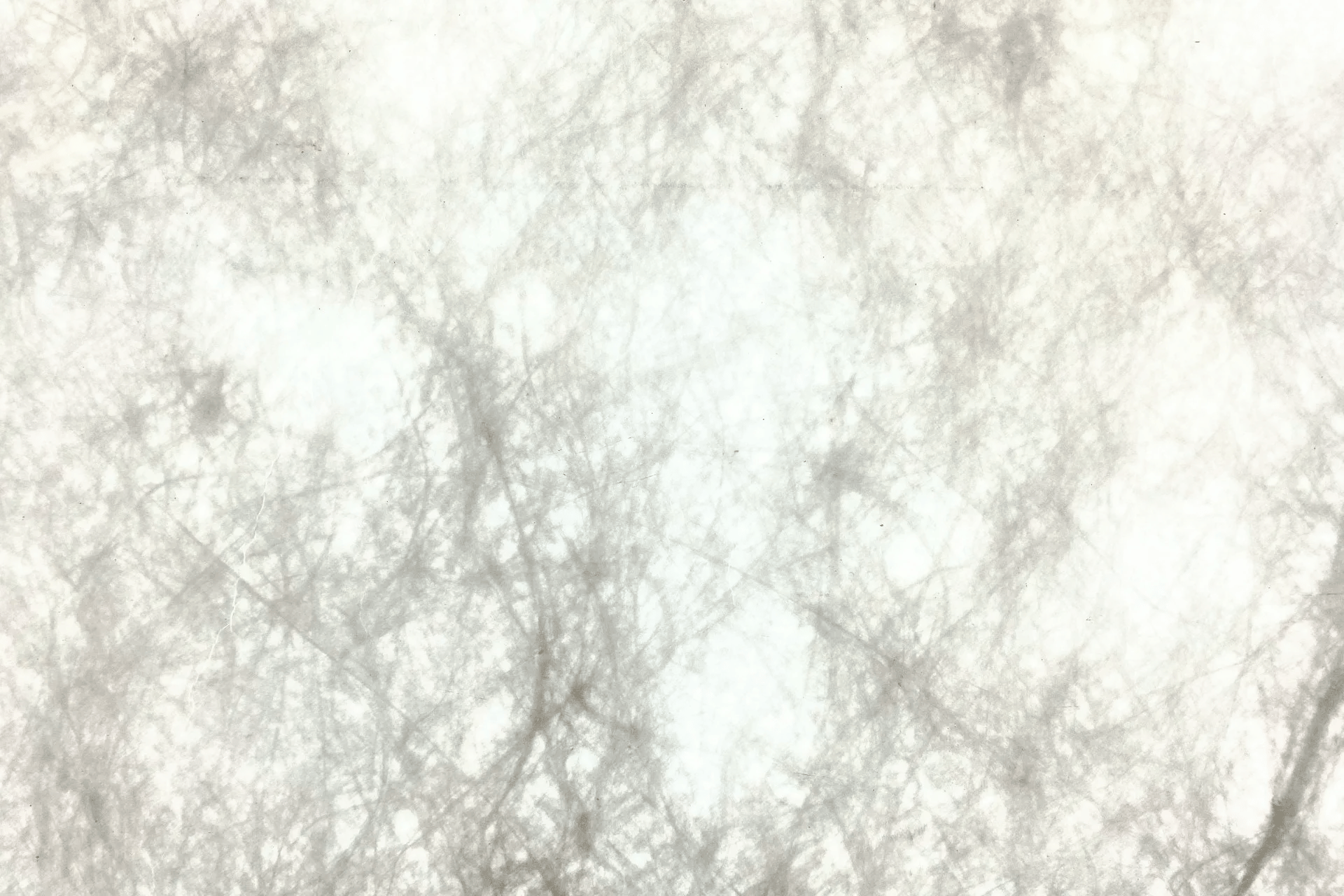 Abstract macro of textured, fibrous paper with delicate, root-like botanical filaments.