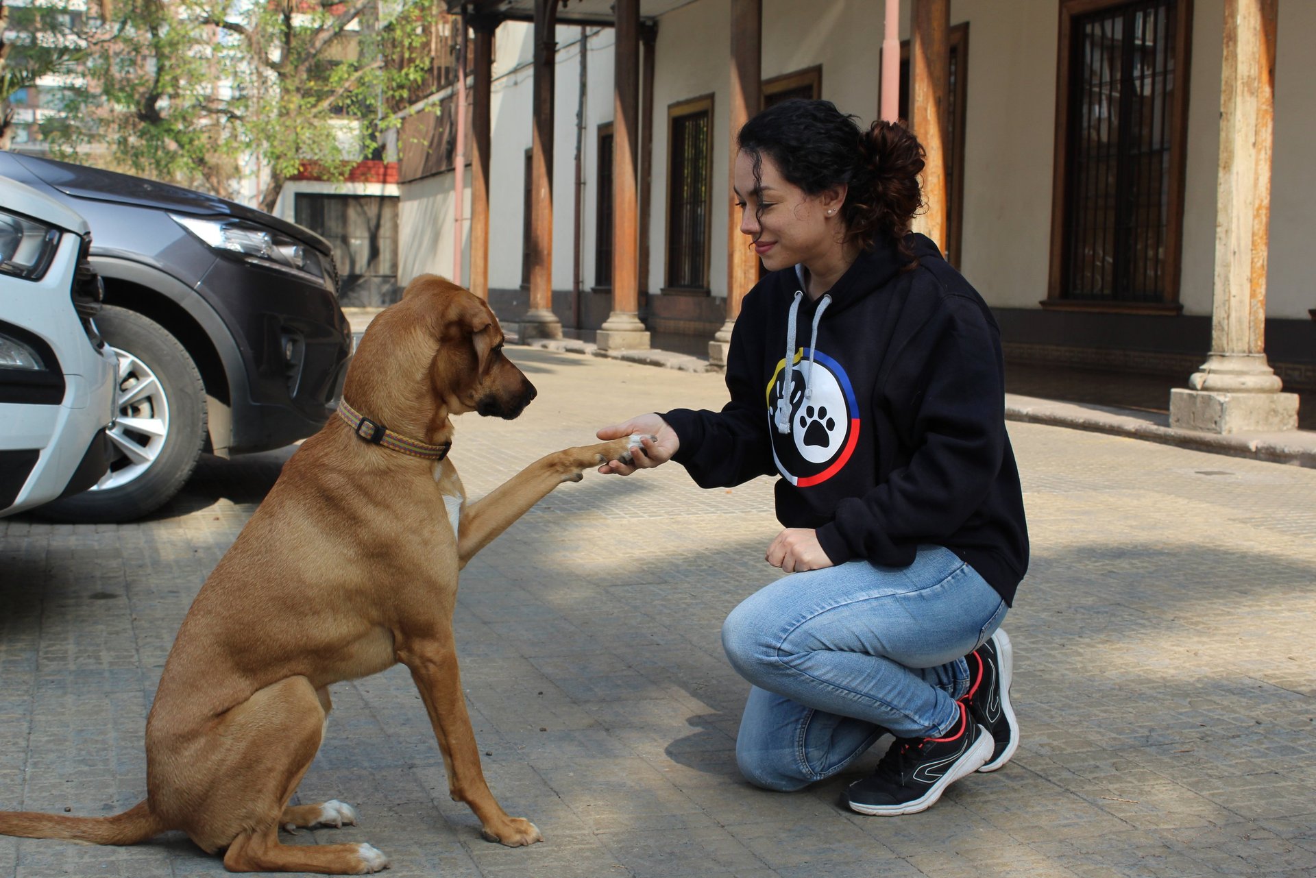 Evaluación de conducta canina