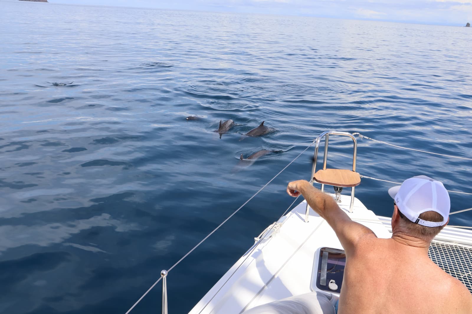 Dolphin jumping during wildlife watching tour in Guanacaste, Costa Rica