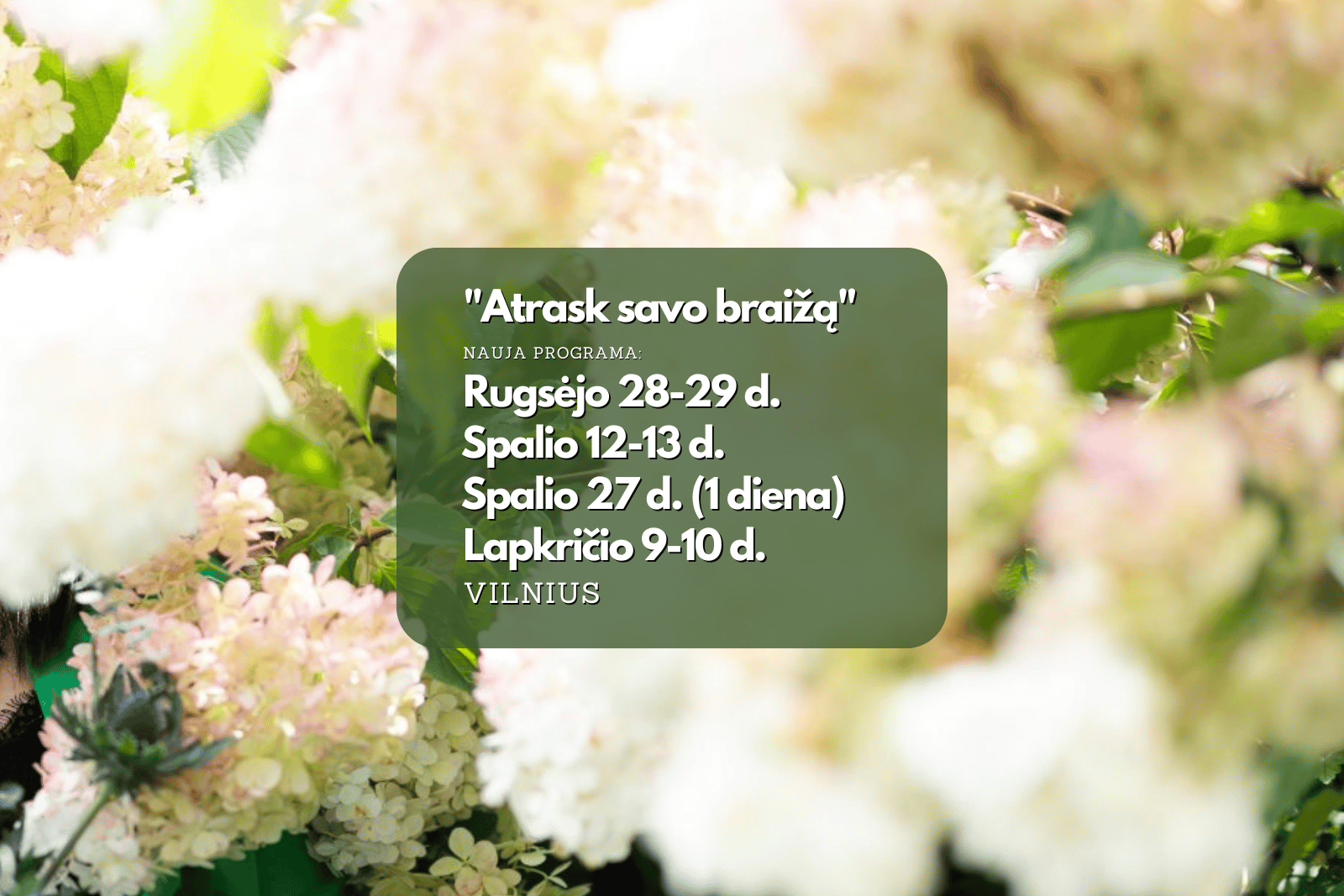 floristikos kursu datos