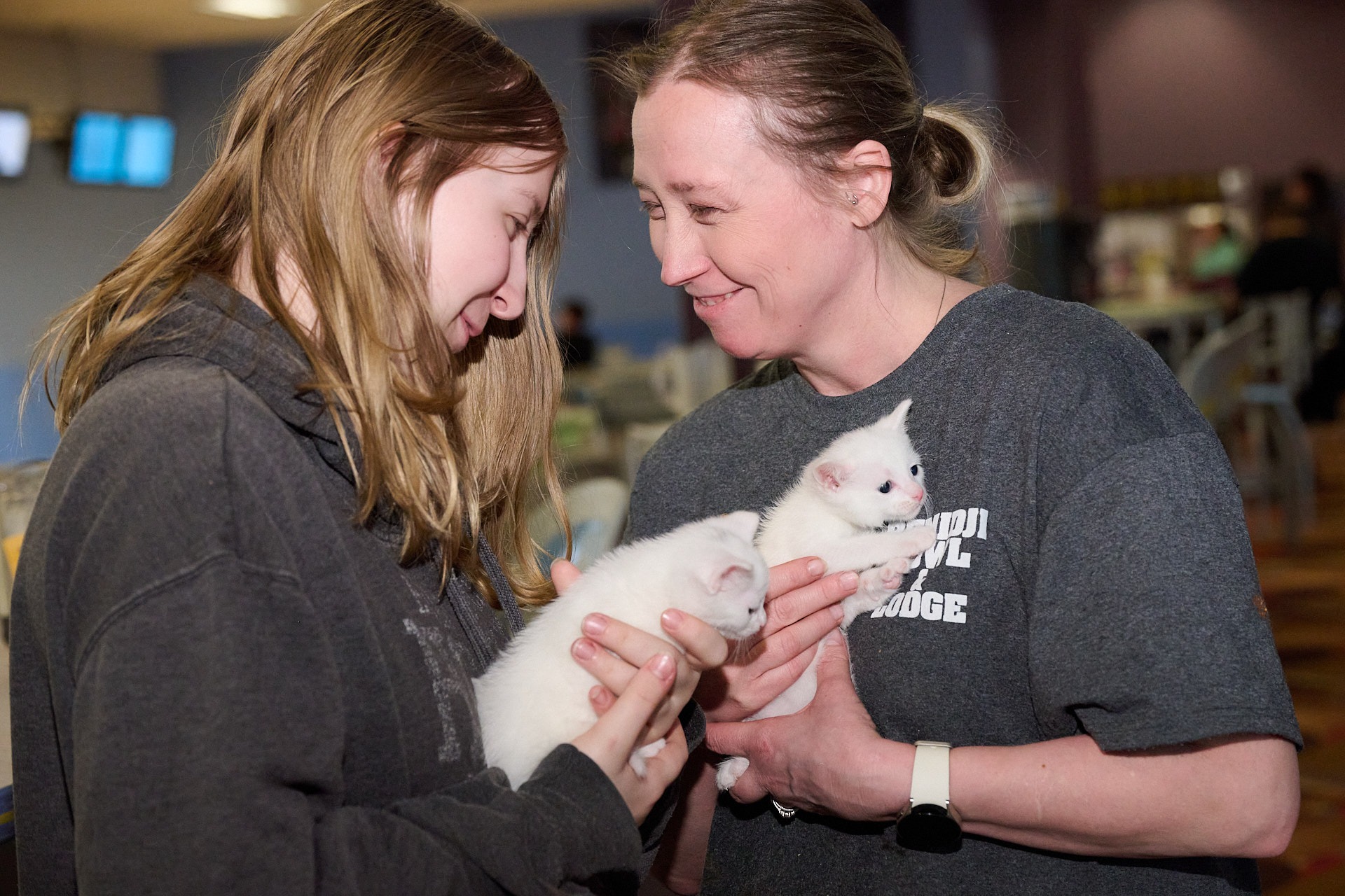 two women holding white kittens in their hands
