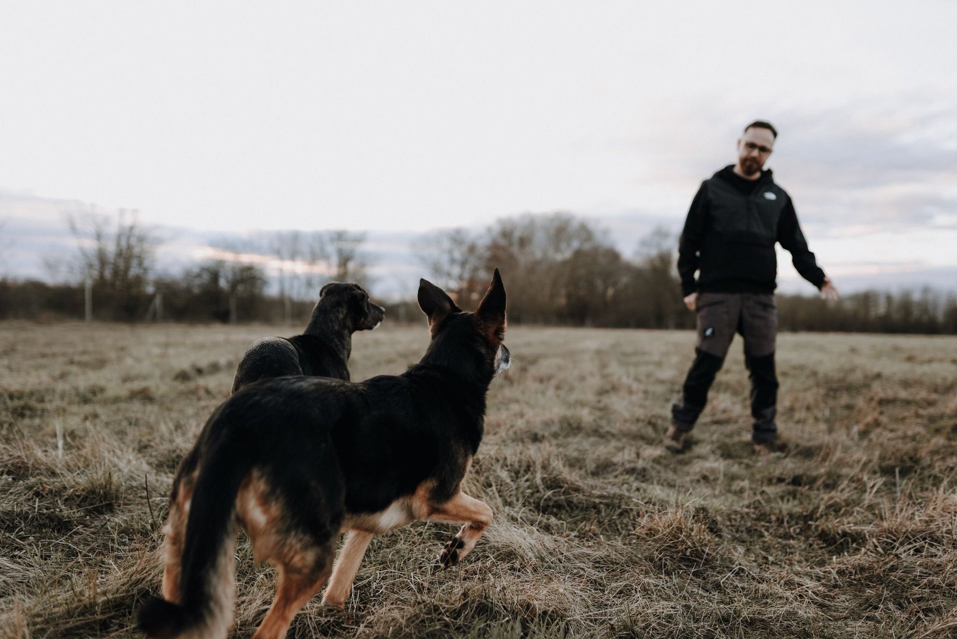 Basti Matern beim Hundetraining in Merseburg