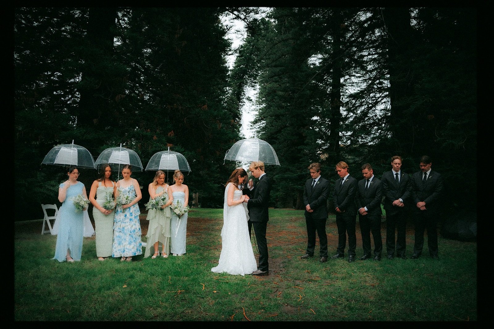 Bride, groom and bridal party standing beneath the pine trees at Araucaria Avenue Adelaide