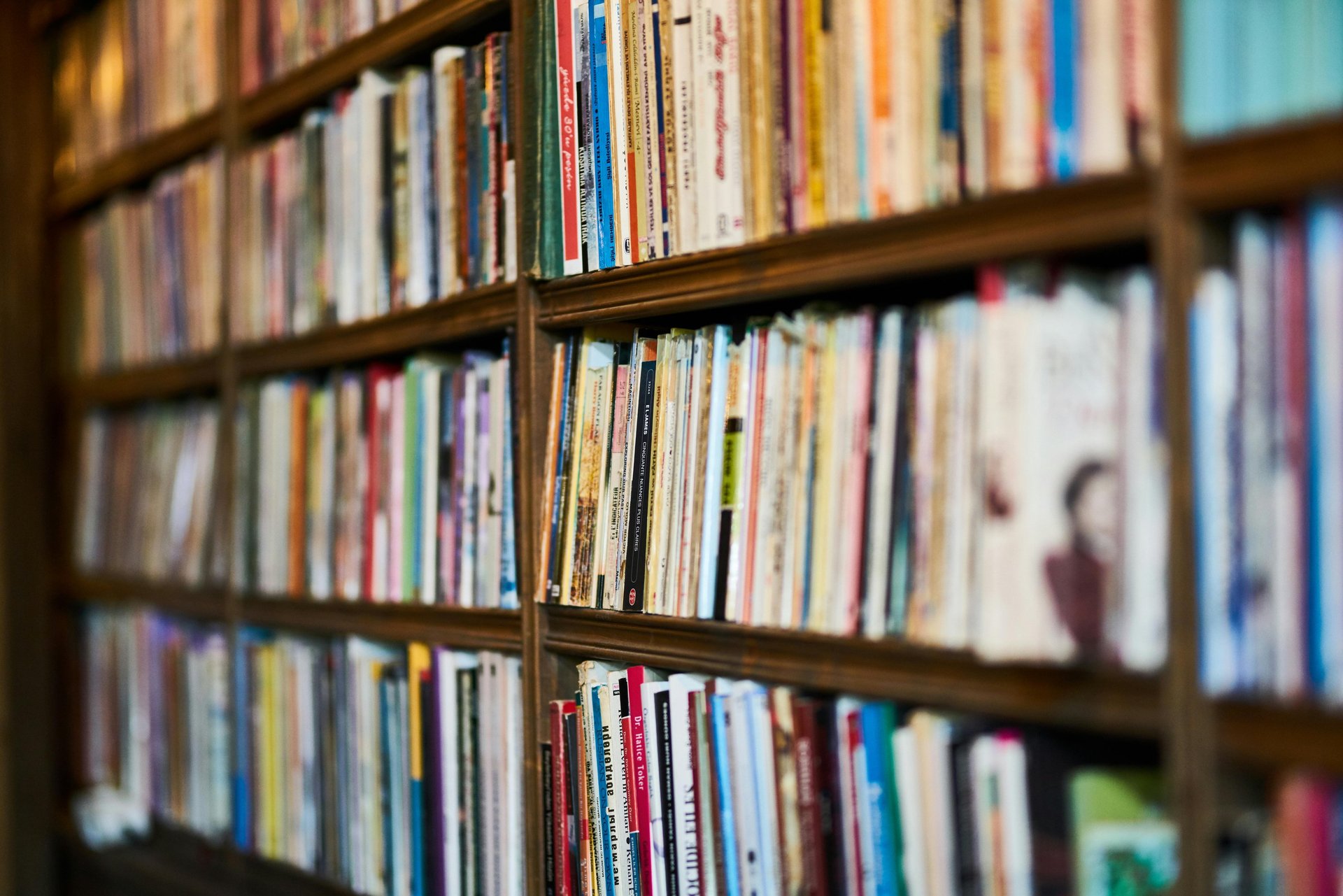 A vintage library bookshelf filled with colorful books and classic literature titles. Photo by Engin