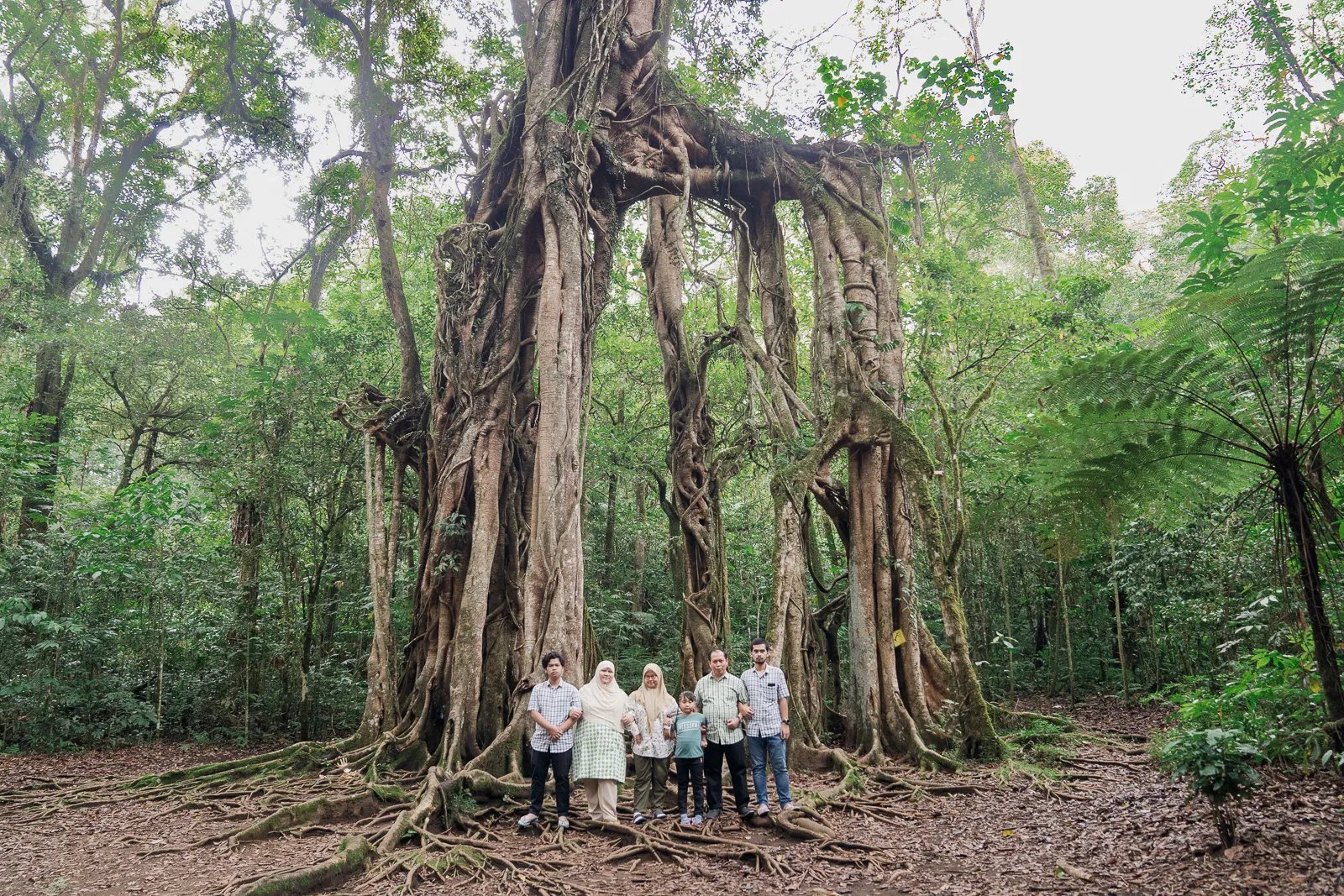 Iqbal family portrait beneath a giant tree at Botanical Garden Bedugul Bali.