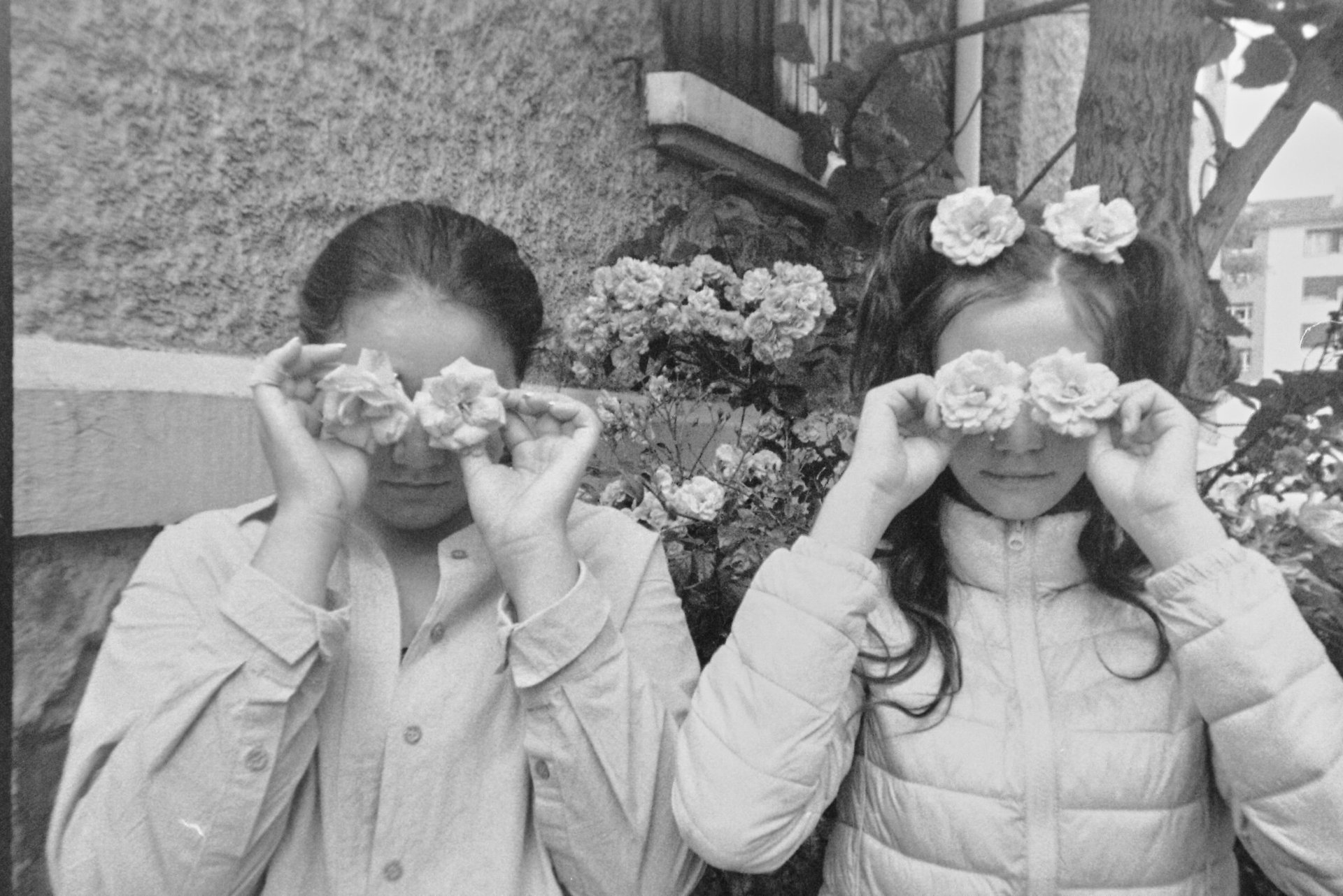 Images Vers Corps photo collège ado fleurs transmission atelier