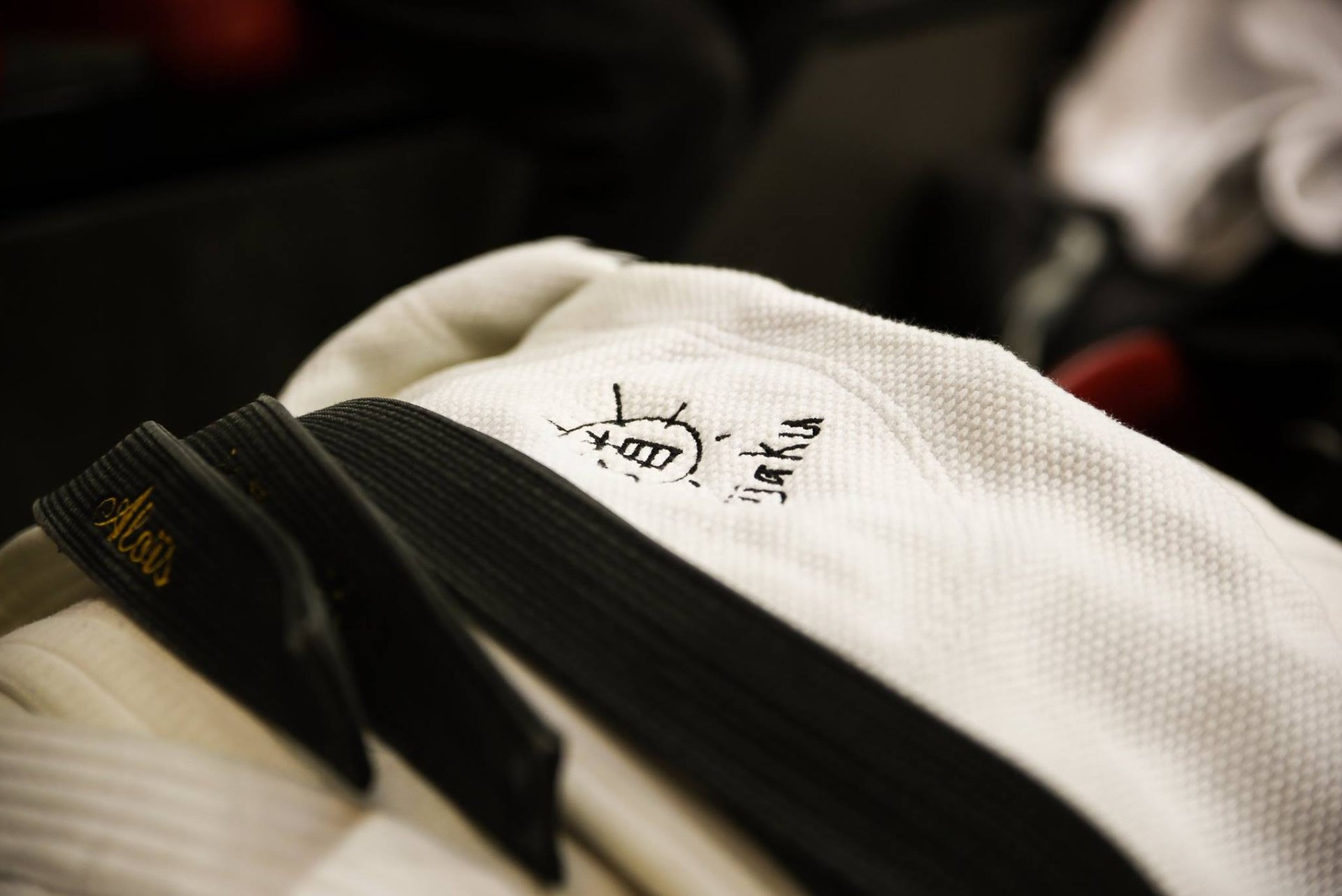 Résultats Aijaku Paris 15