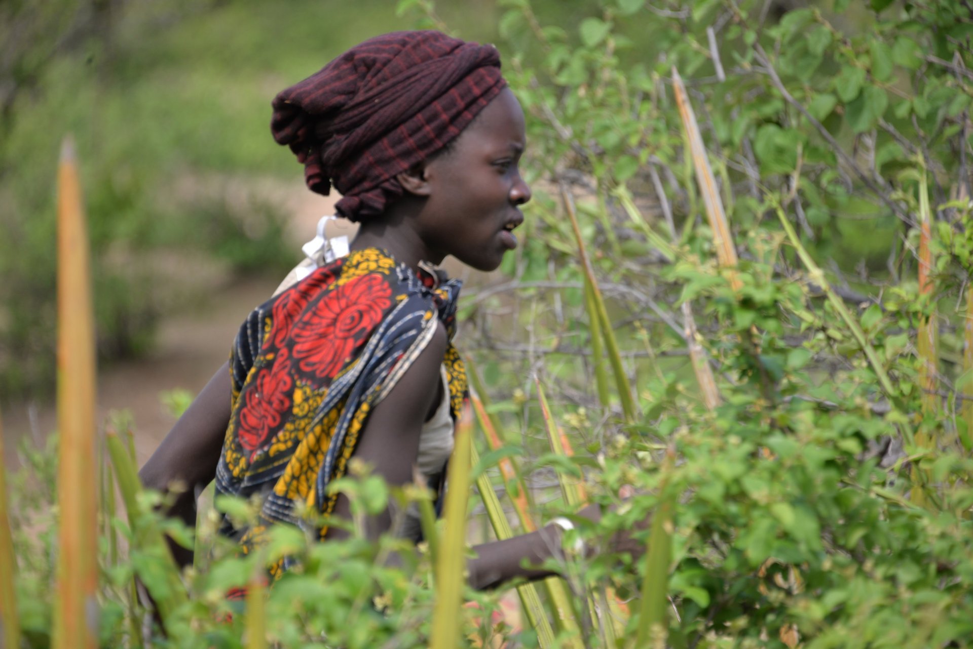 TagesausflügeTansania