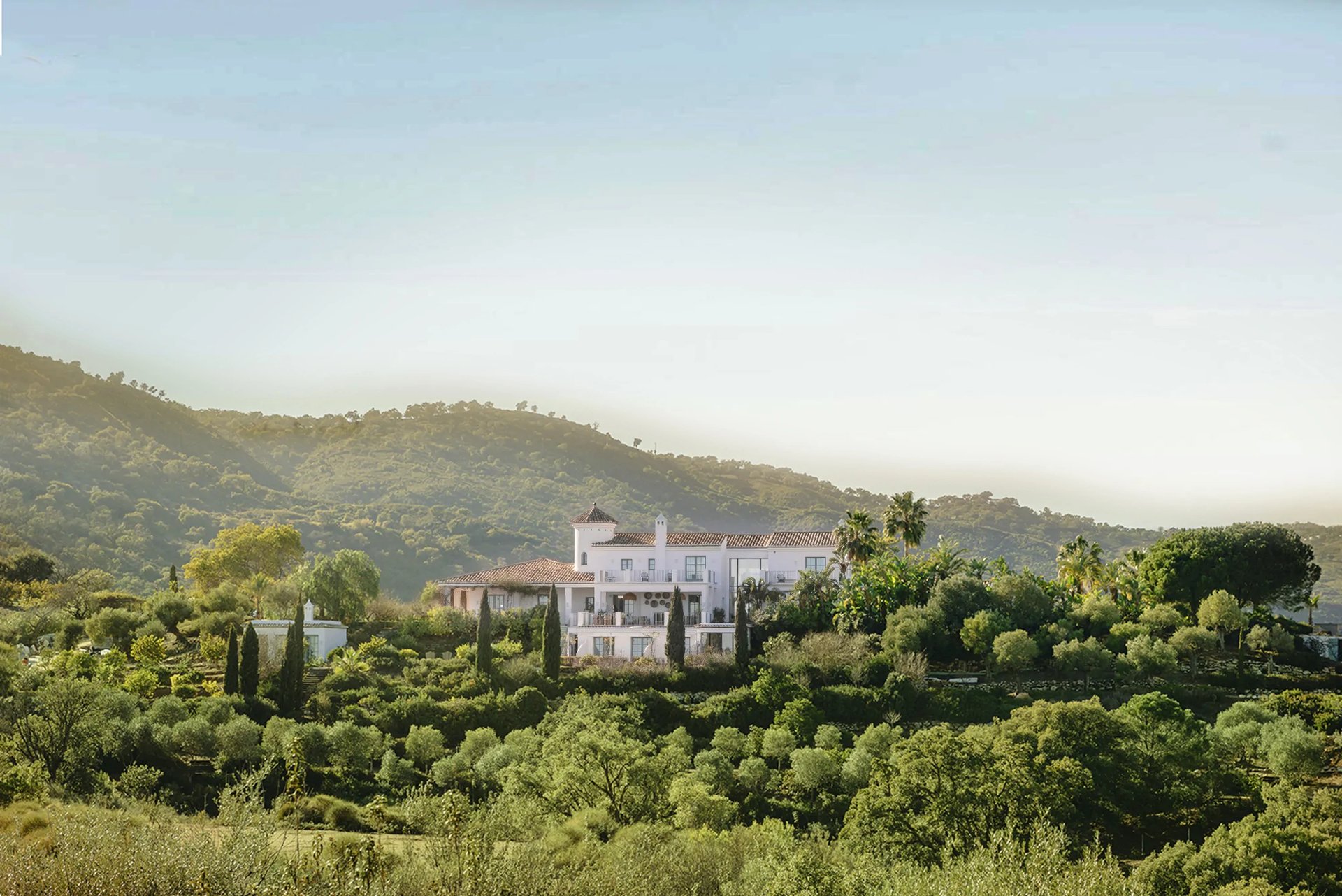 Hilltop Mediterranean estate surrounded by olive trees and nature