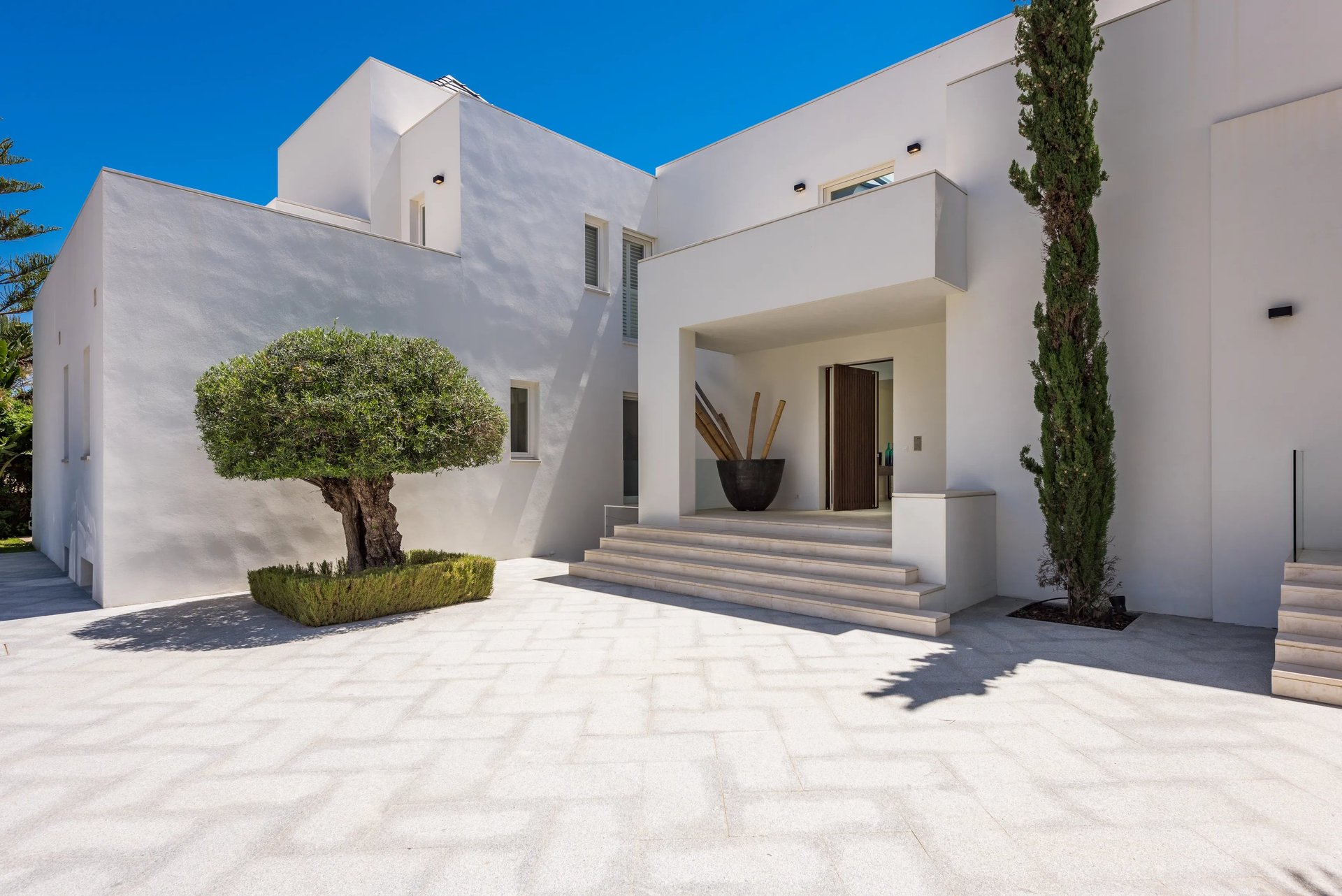 Main entrance with olive tree and minimalist architecture