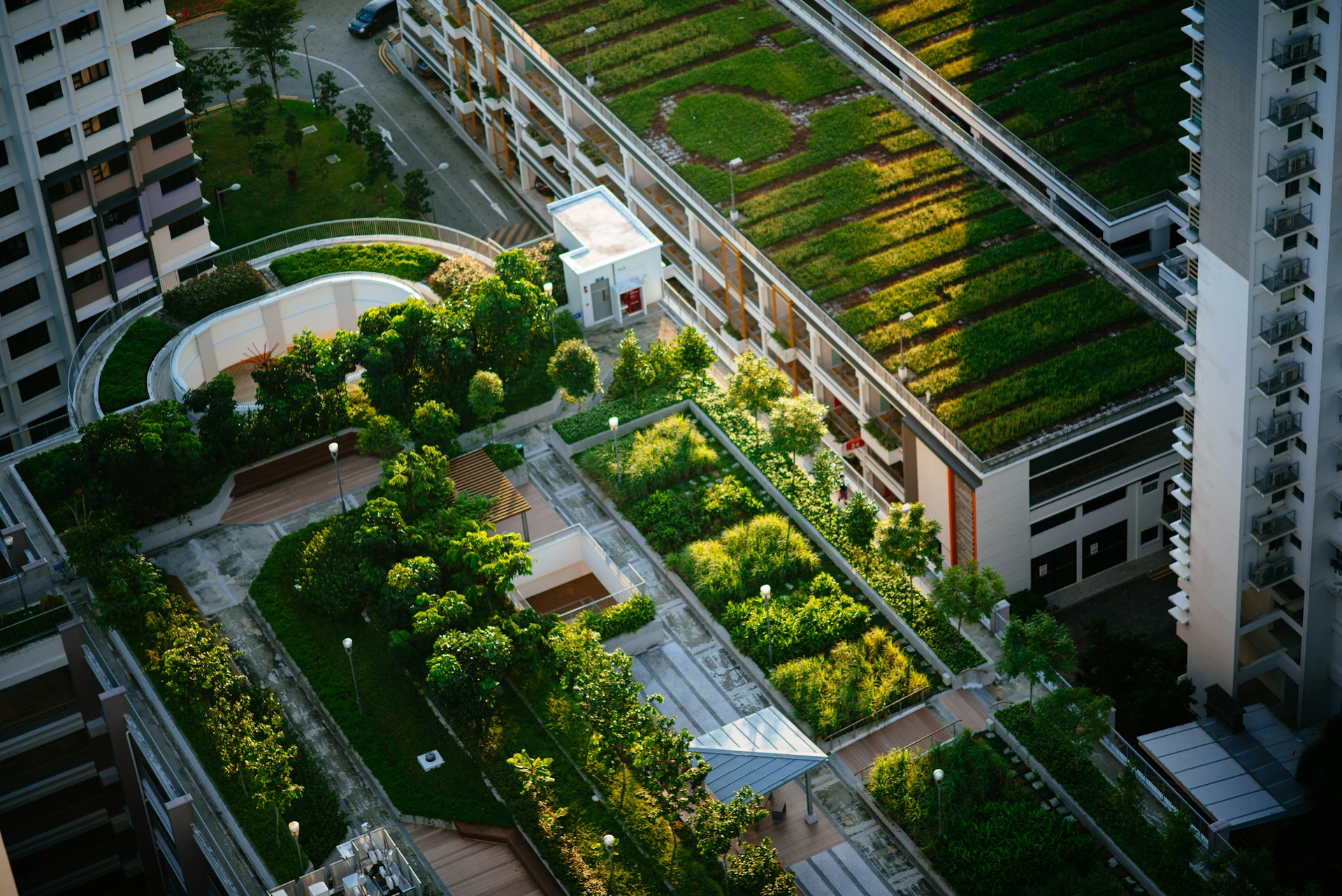 Urban Gardens: How Green Spaces Are Transforming City Ecosystems