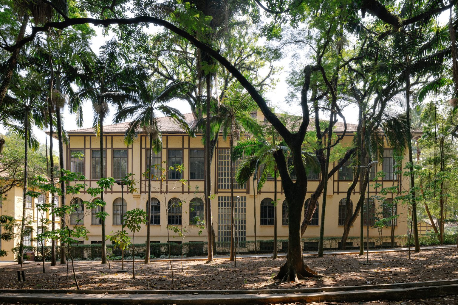 Parque da Água Branca, um espaço verde emblemático de São Paulo, proporcionando um diálogo.