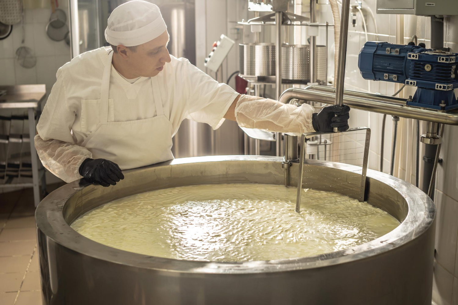 Professional cheesemaker using a curd cutter in a large stainless steel vat at a cheese production factory.