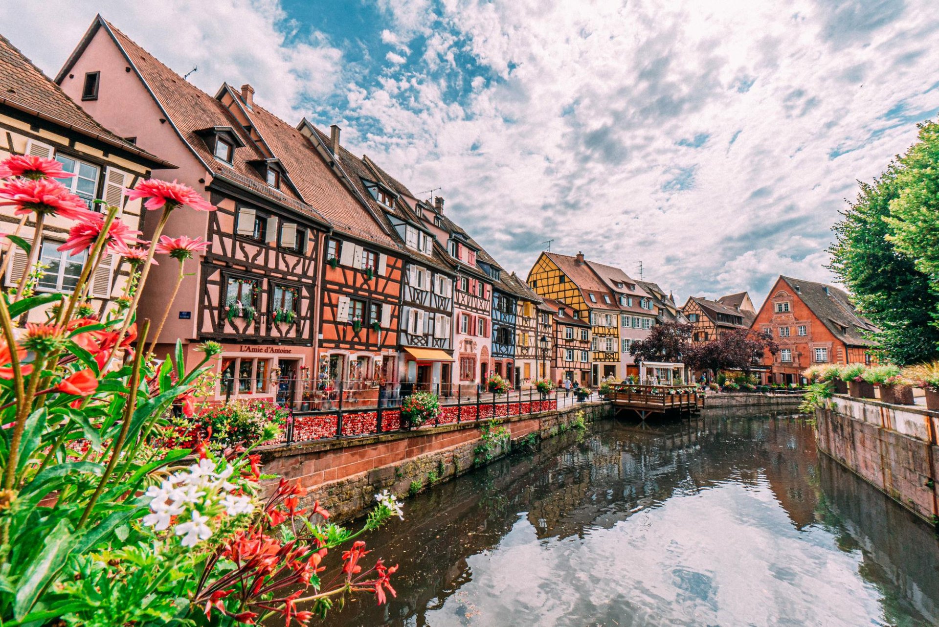 Colorful half-timbered houses along the Lauch River canal in Colmar, France's Little Venice district.