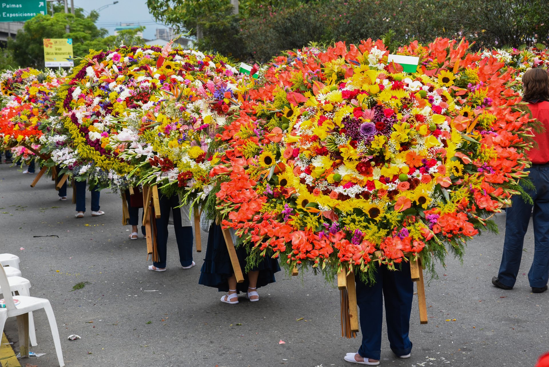Silleteros carrying large circular flower displays during the Feria de las Flores in Medellín, Colombia.