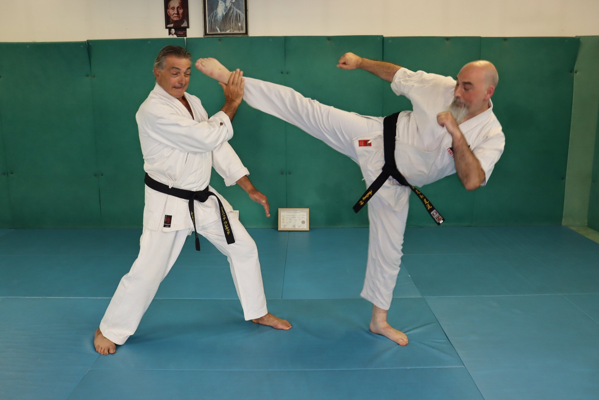 Dominique Hourcade et Antony Nicou Mawashi geri jodan