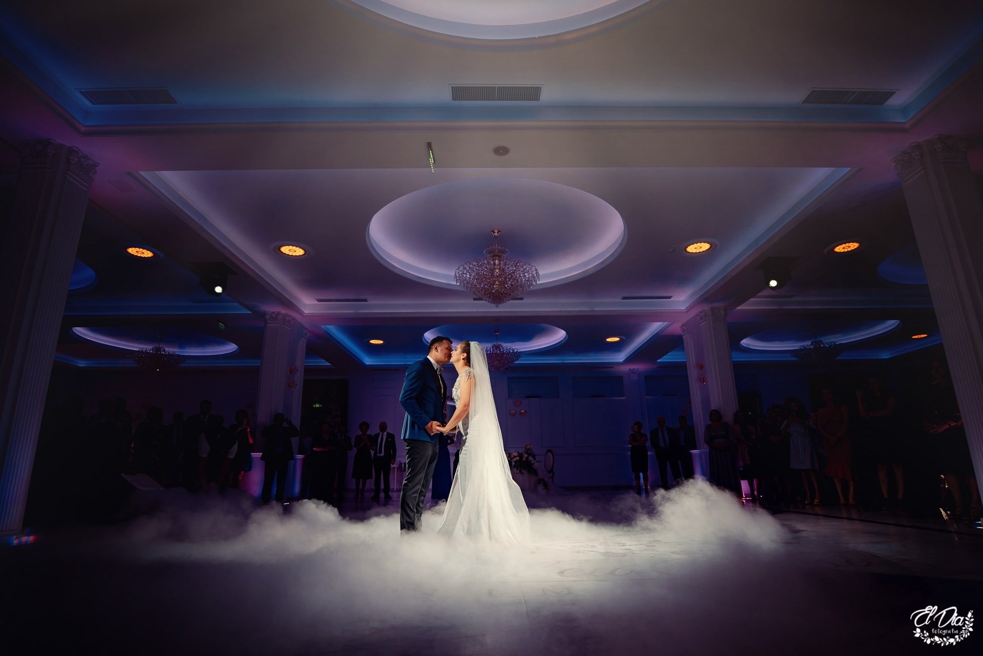 sedinta foto domeniul cu ciresi