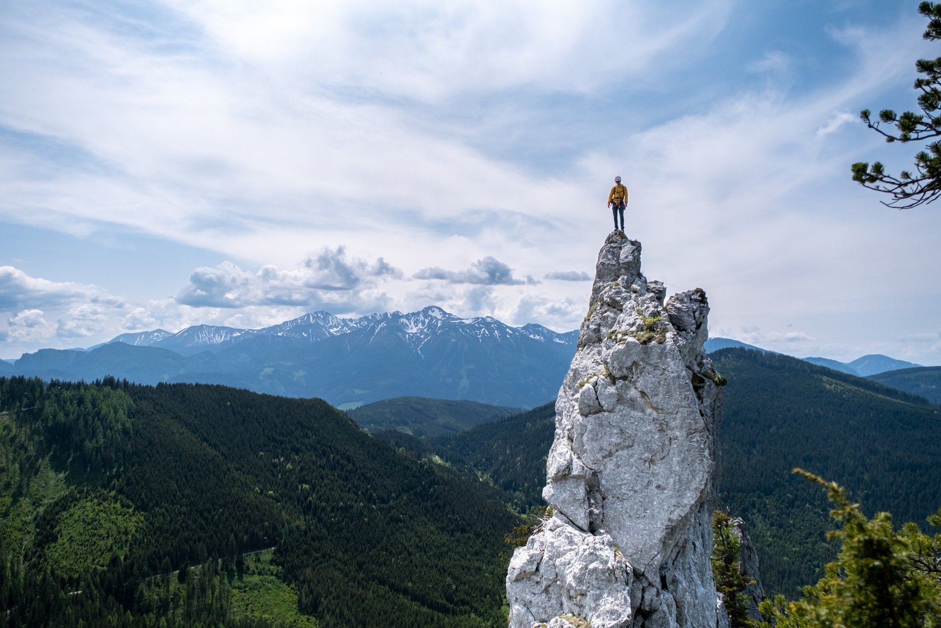 wachsen oder stehen bleiben_Leadership Training Führungskräfte Coaching