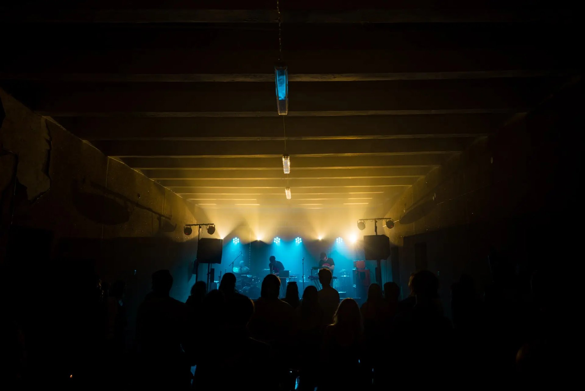 Lietuvos muzikos ir teatro akademijos studentų atstovybės renginys. Nuotr. J. Satkūnaitė