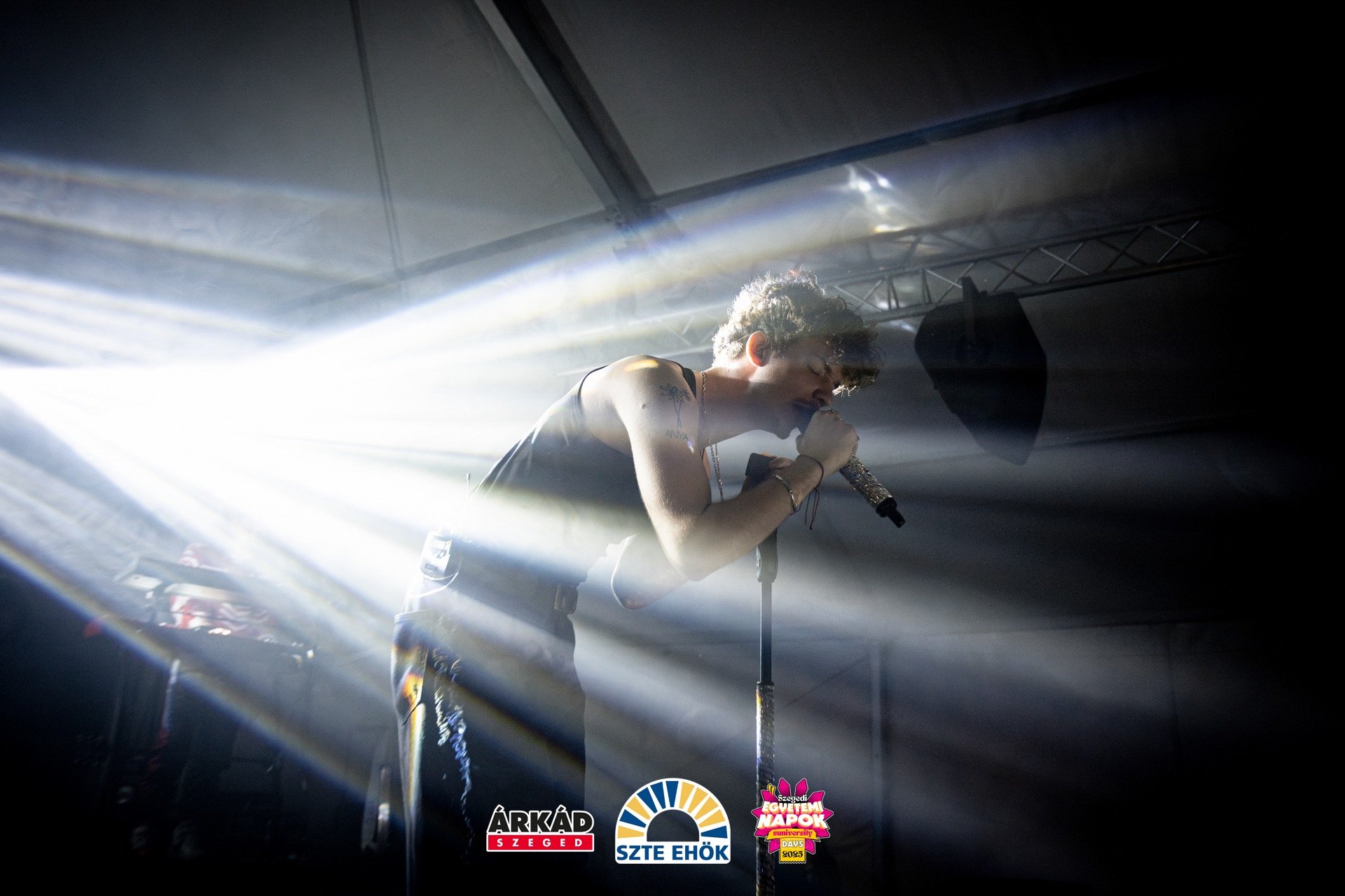 Mehringer Concert Image by Vass Gergo