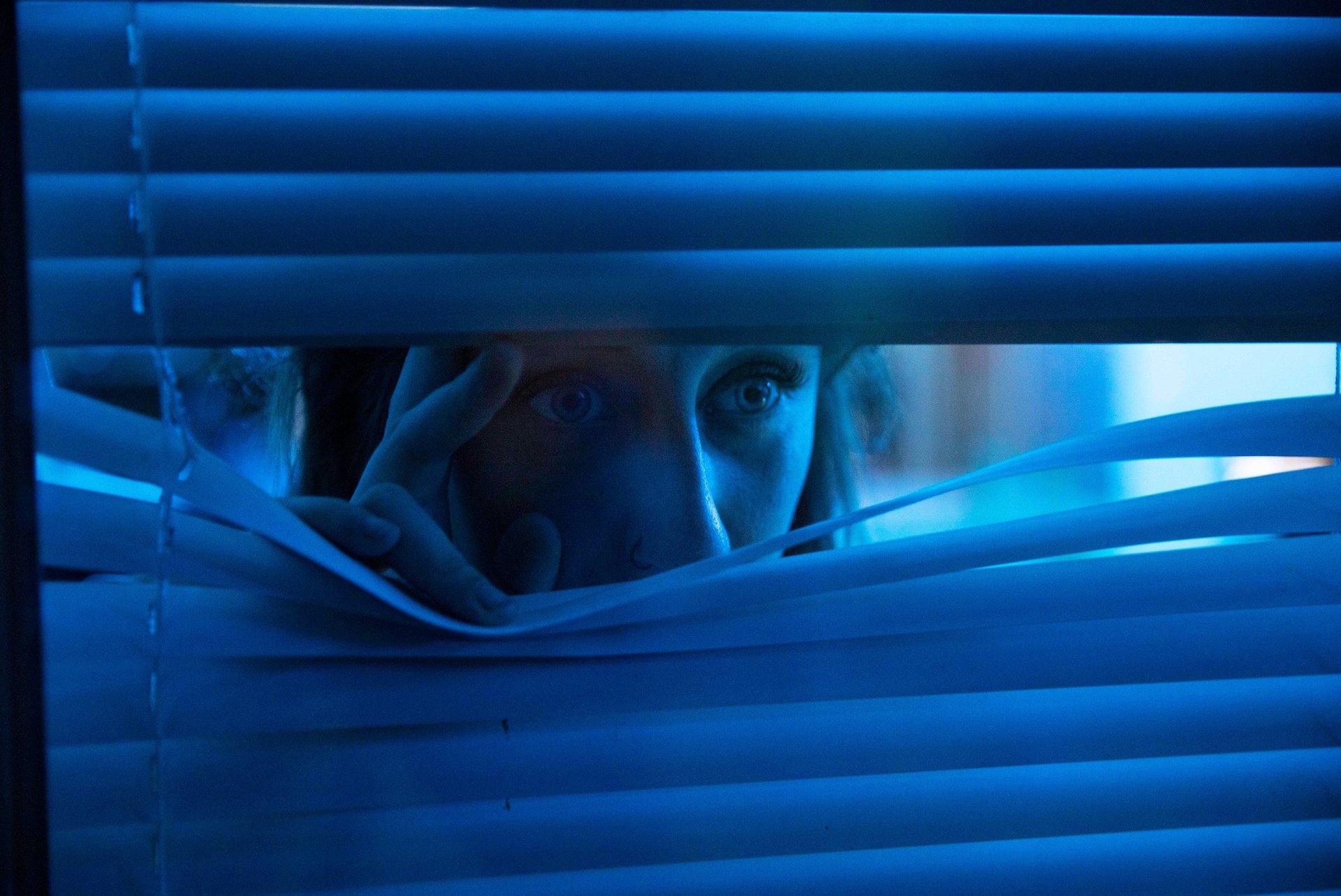 Peaking, peak out window, Charlotte Bradshaw, Dead Drop, 2022