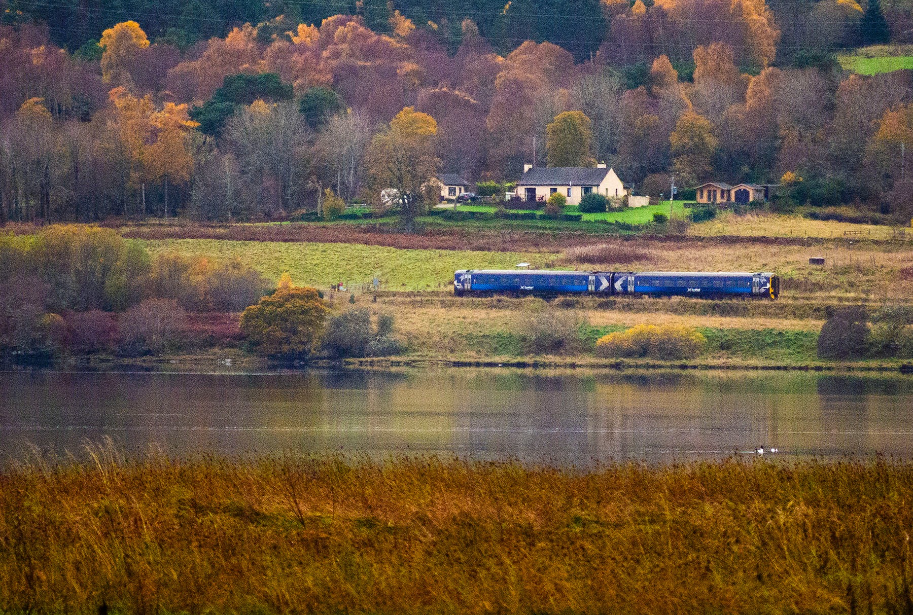 ScotRail Train leaving Ardgay for Inverness Scotland UK