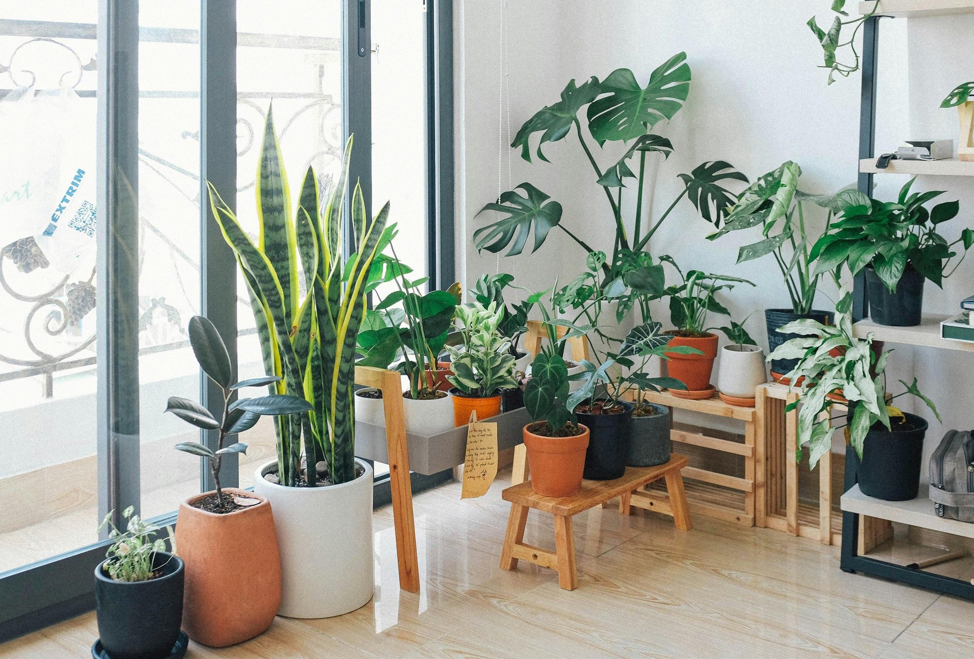 a room with a lot of plants and a wooden table