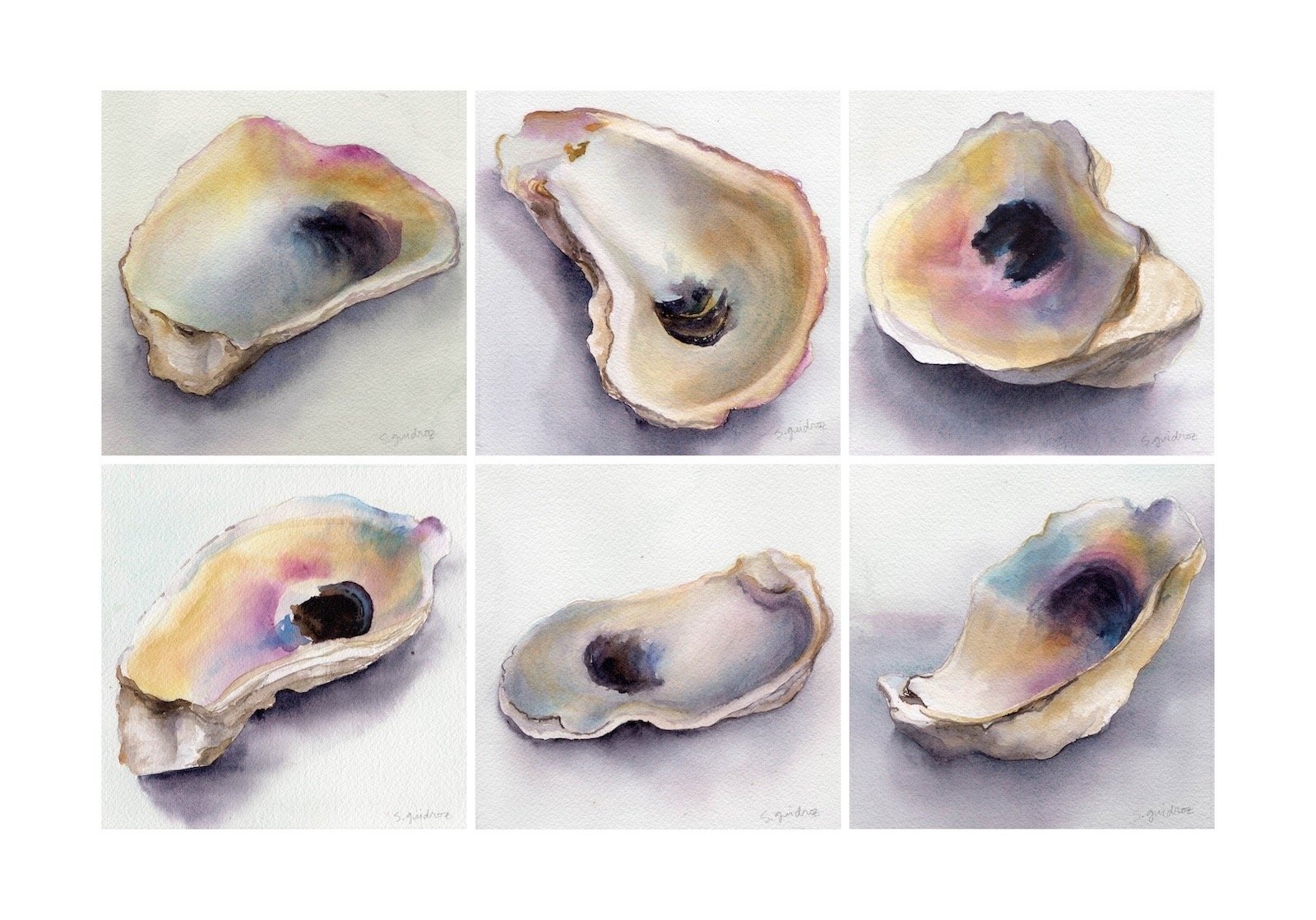 watercolor painting of an oyster shell