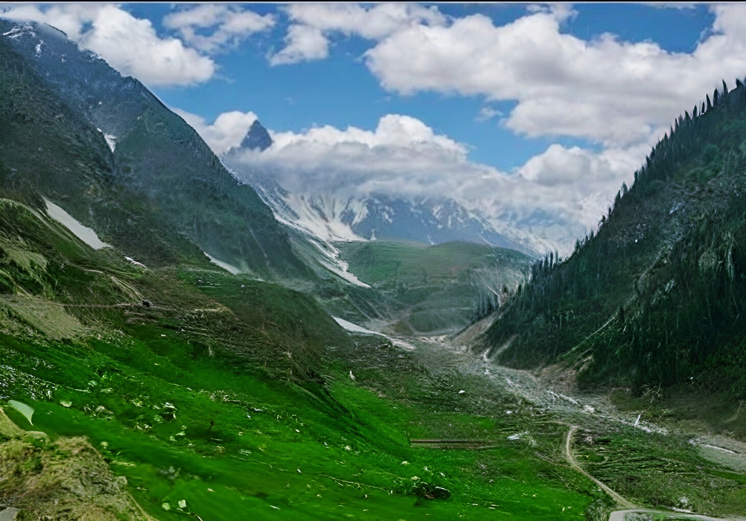 a mountain scene with a cow grazing in the grass near lake saif ul malook