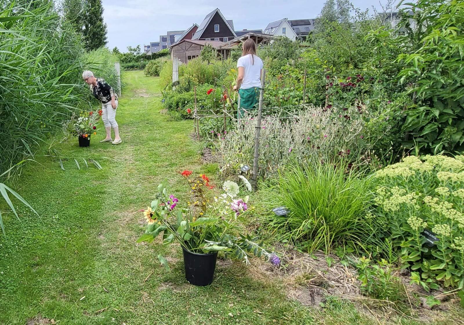 Een emmer met bloemen wordt geplukt in de bloementuin