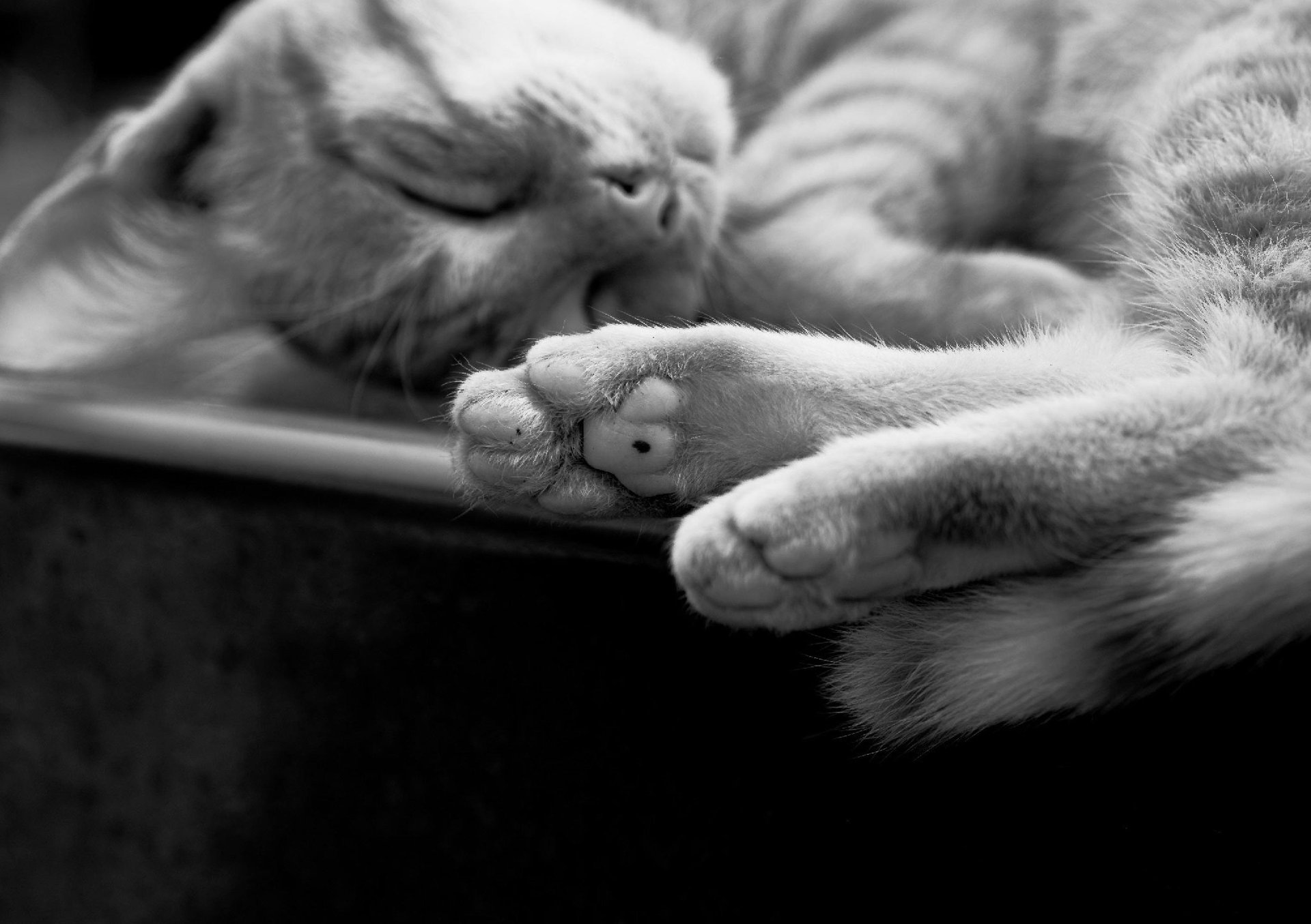 Hypnose et troubles du sommeil à Cantenay-Épinard près d’Angers – accompagnement pour mieux dormir