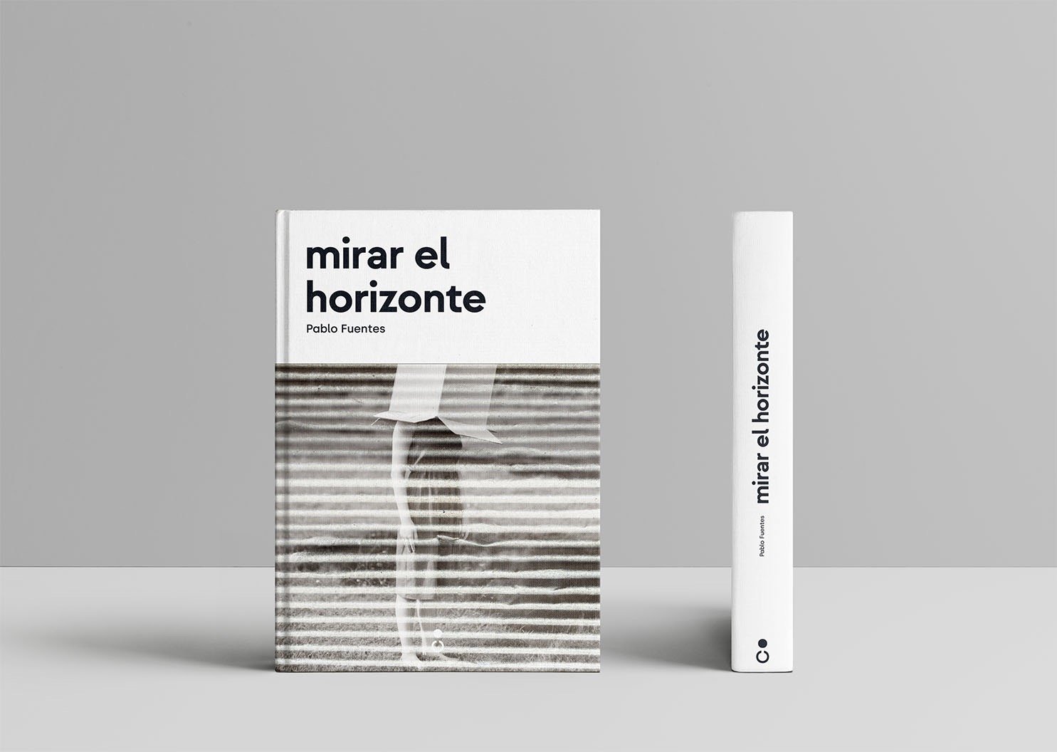 Vista frontal y lomo del libro Mirar el horizonte publicado por EDITORIAL CONTRAFORMA