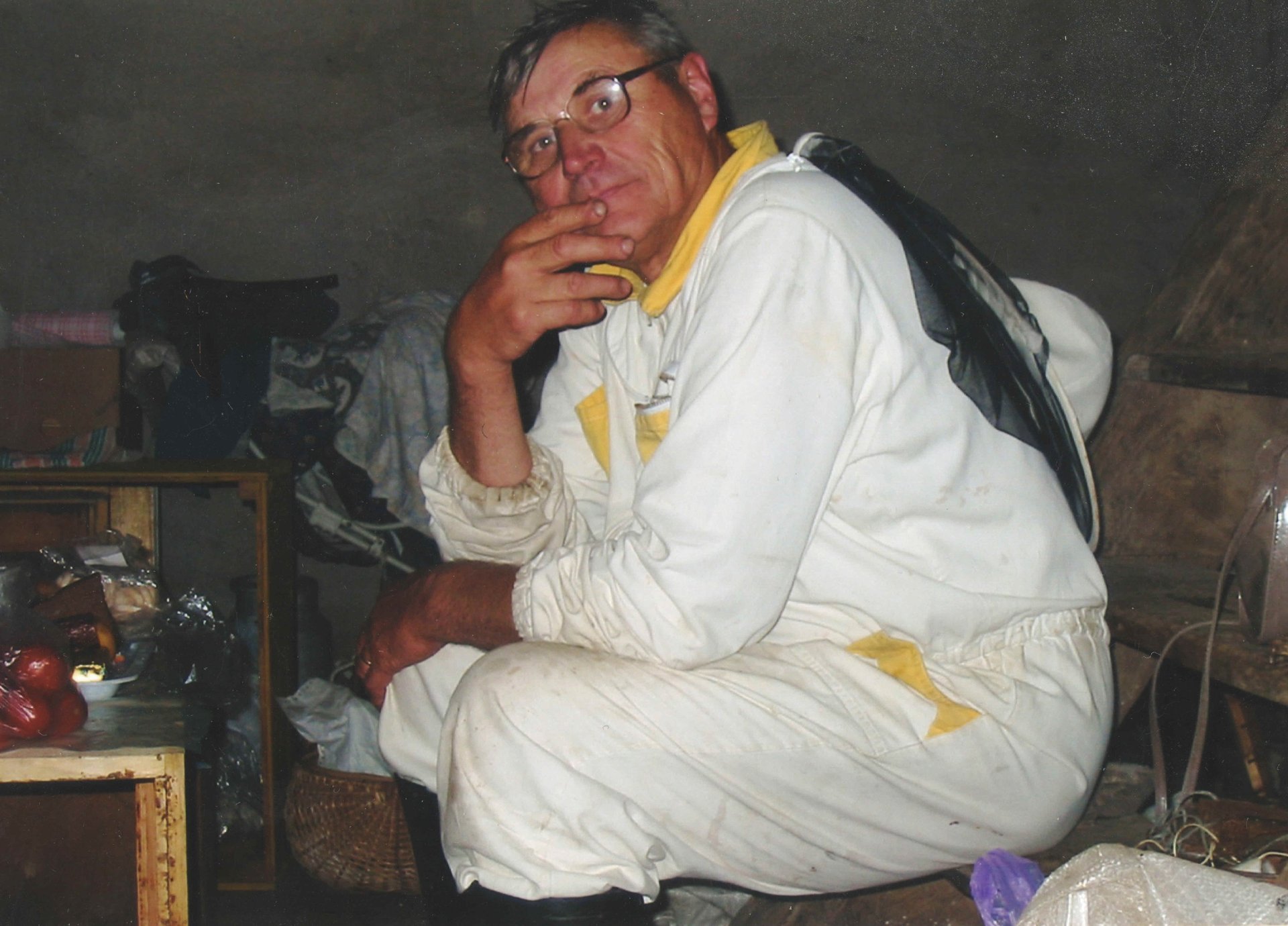 Apis cara medus kungiai