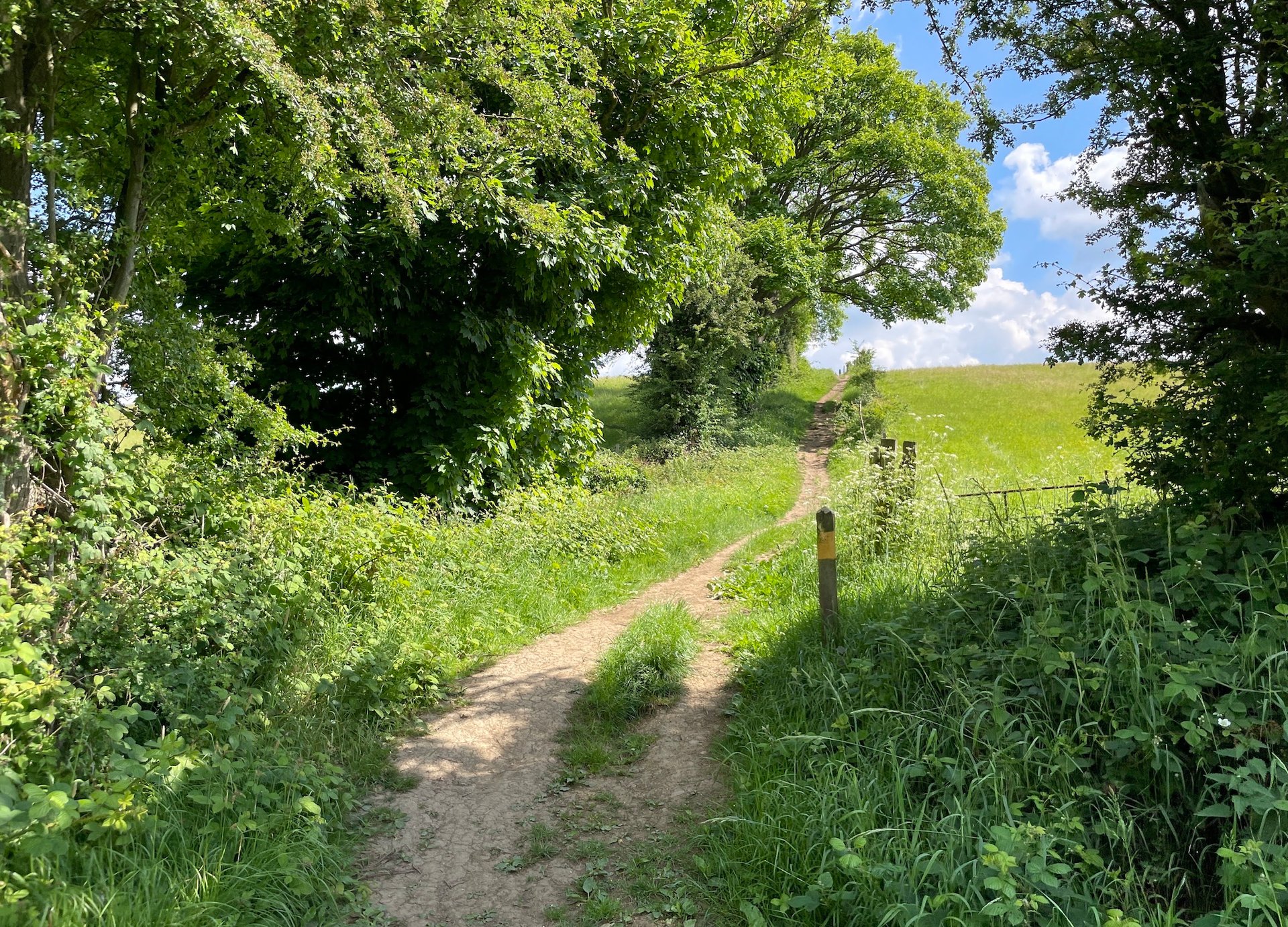A countryside view showing a pathway leading over the brow of the hill