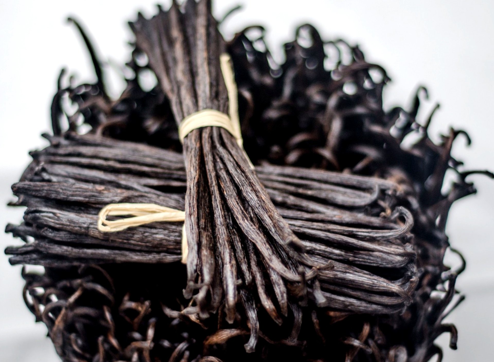 Premium Vanille World of Vanilla Schweiz