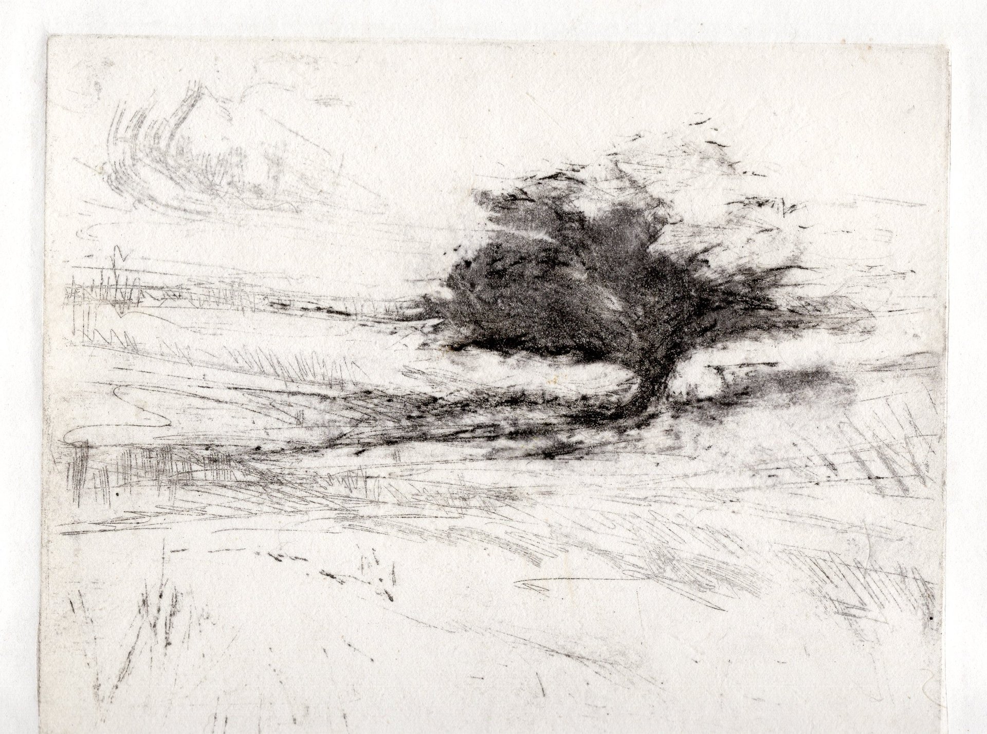A vintage landscape monoprint of a lone tree in an open field.