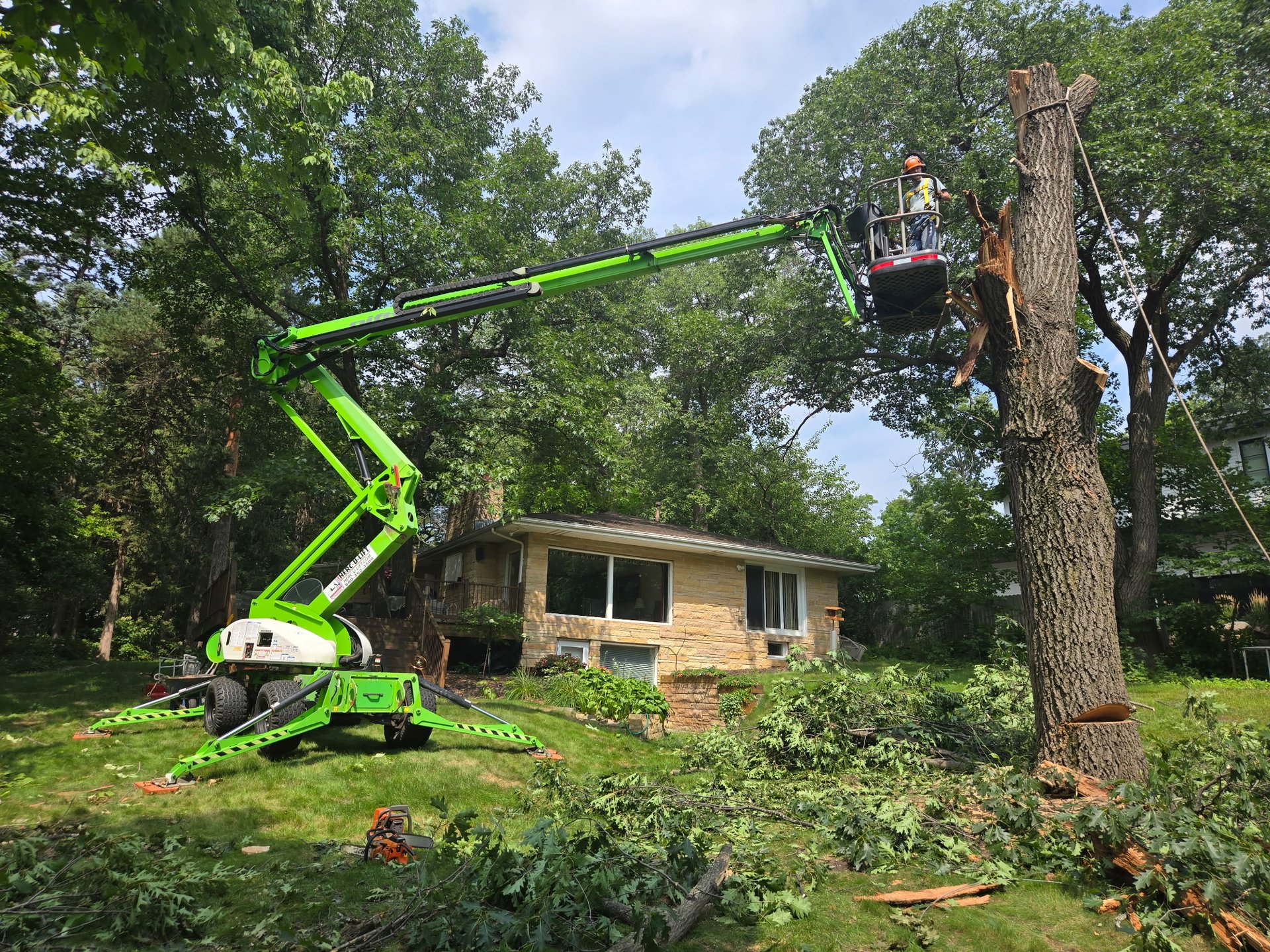 tree removal services in eden prairie mn
