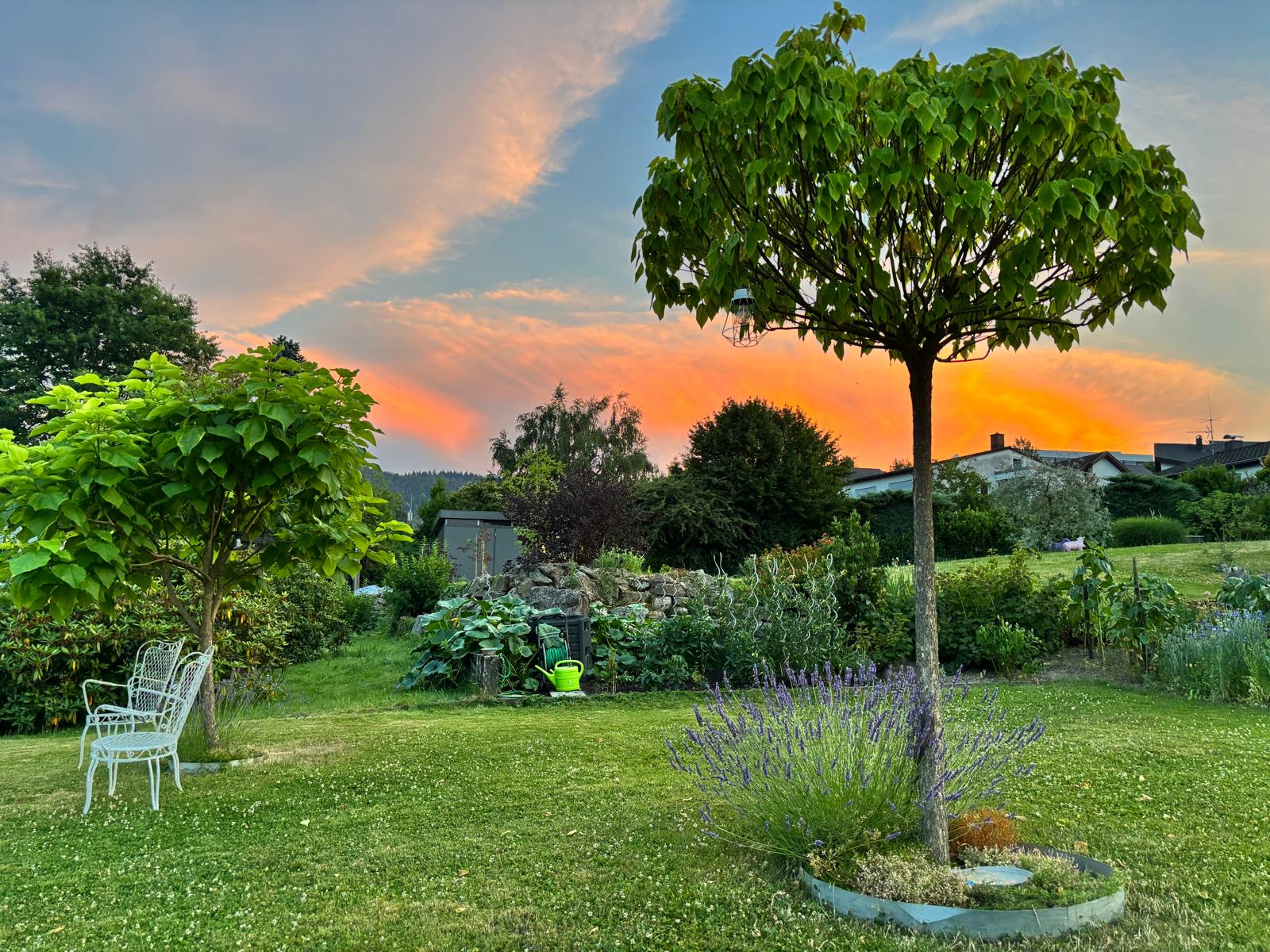 Sonnenuntergang vom Garten der Ferienwohungen