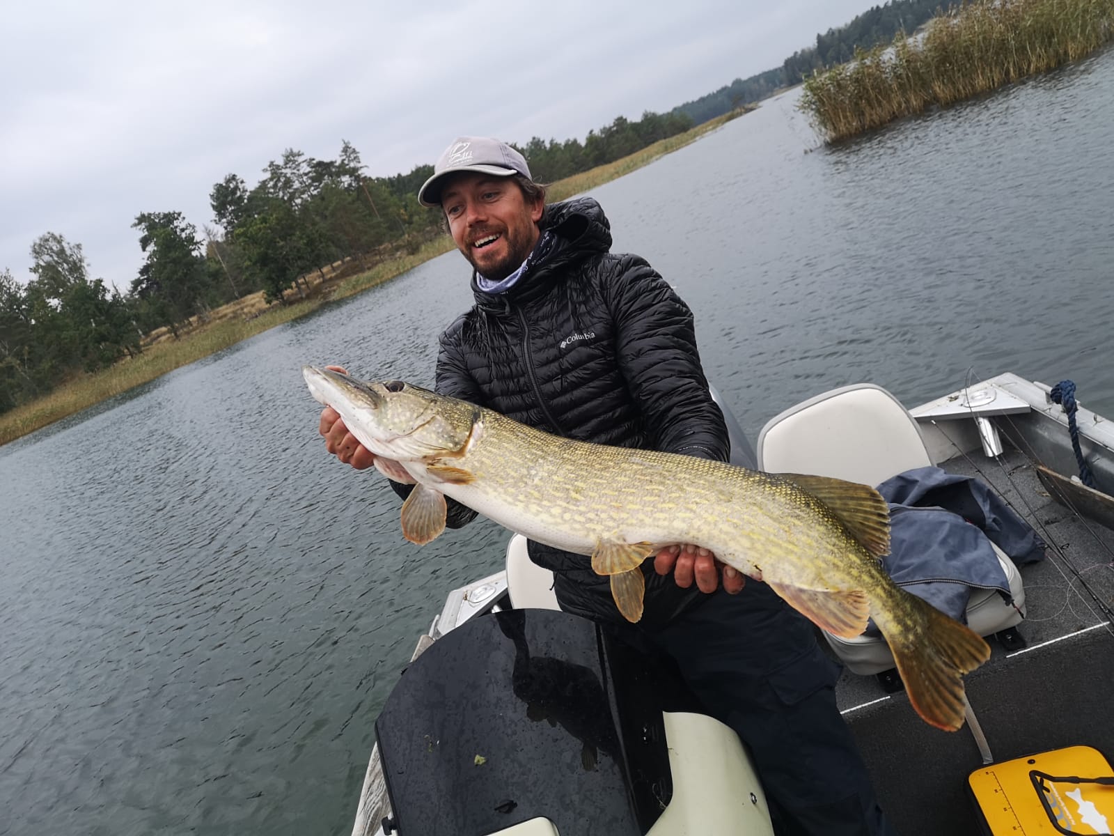 un pêcheur tient un gros brochet lors de son voyage de pêche au brochet en suède.e