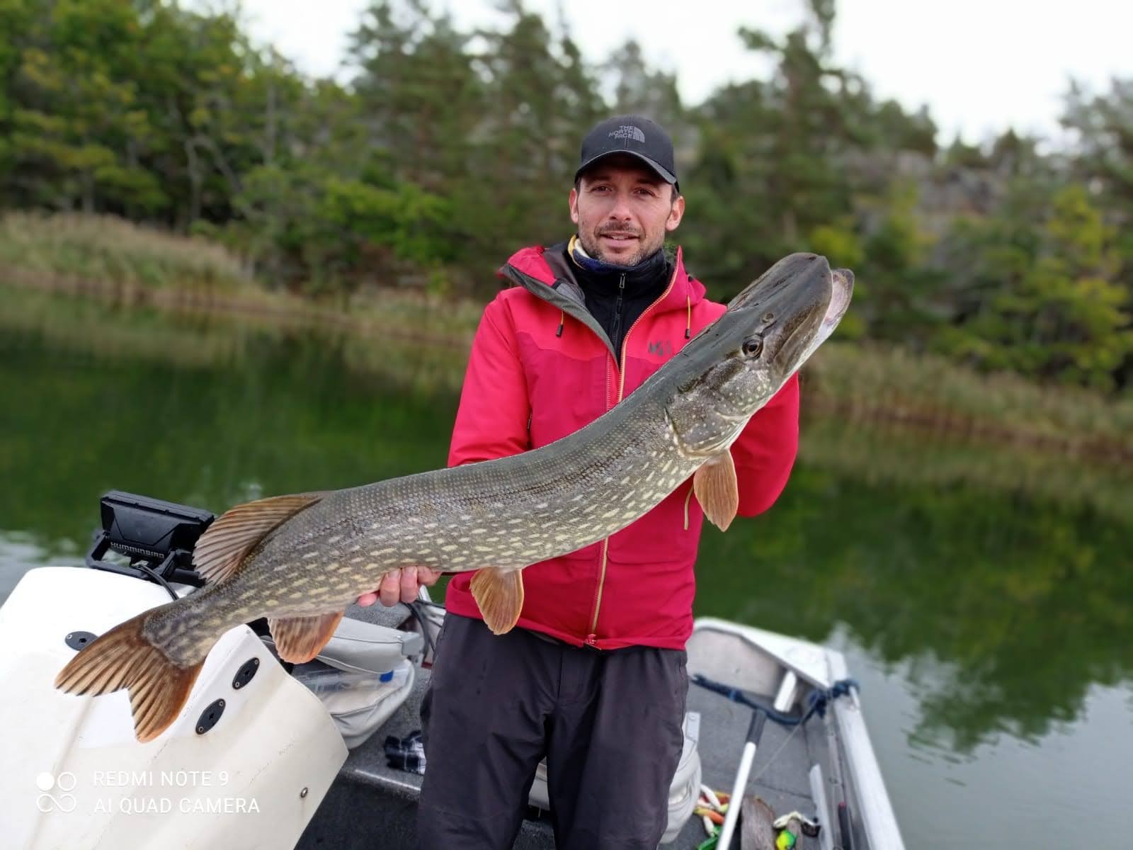 grace a fishing escape sweden, un pêcheur tient un gros brochet suedois. il y a des roseaux.