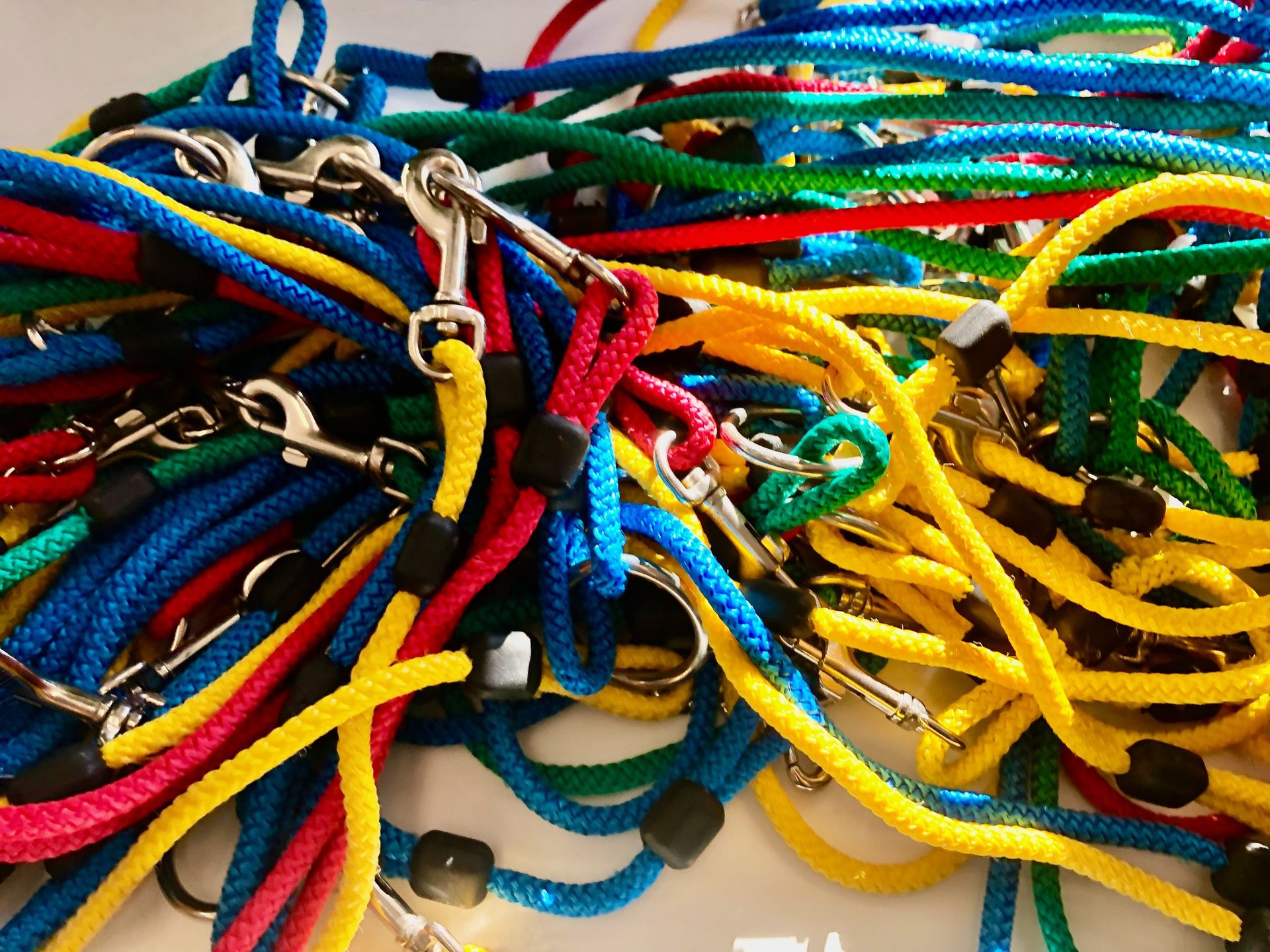 Fot. Justyna Józefowicz