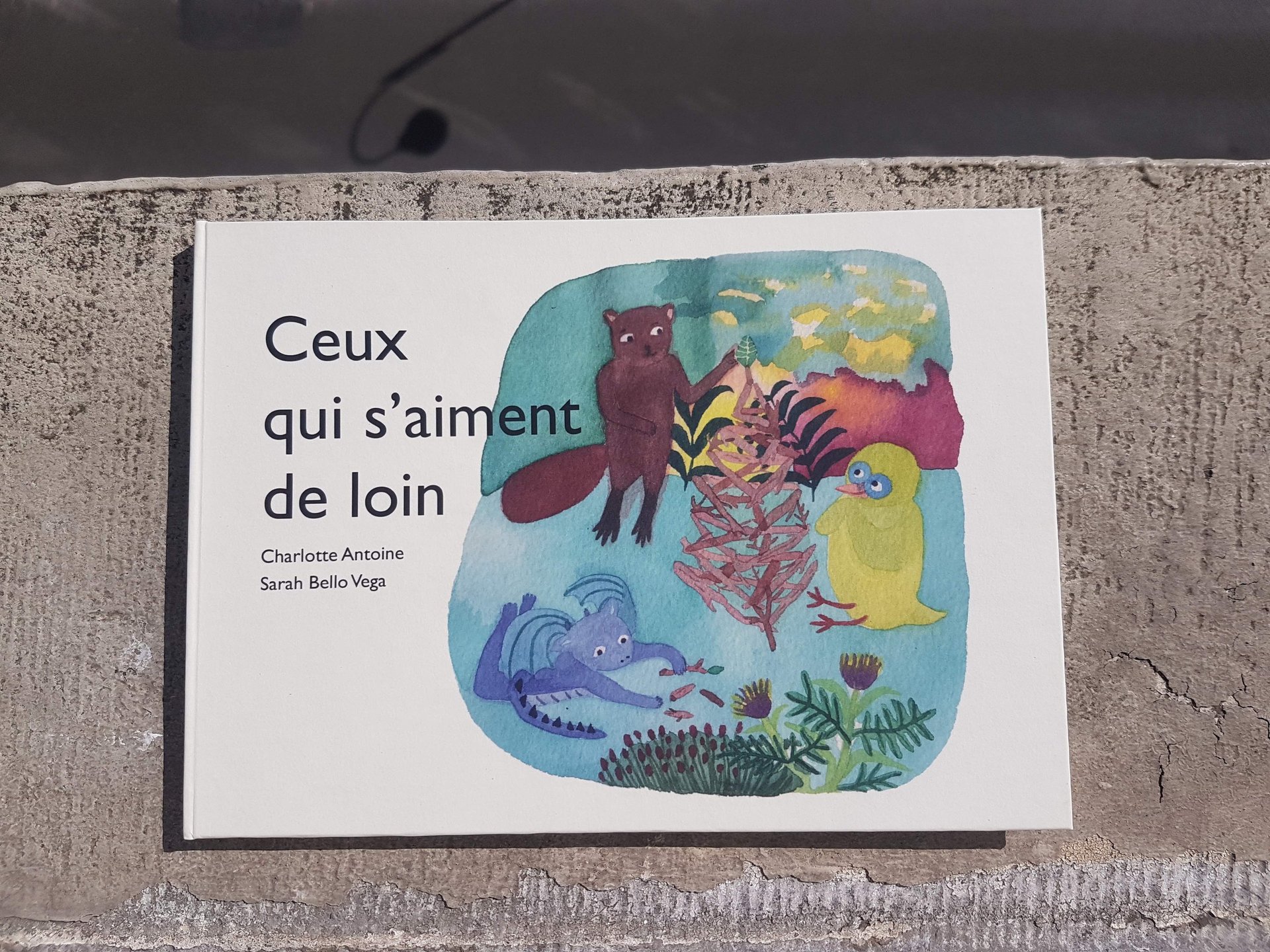 Album jeunesse