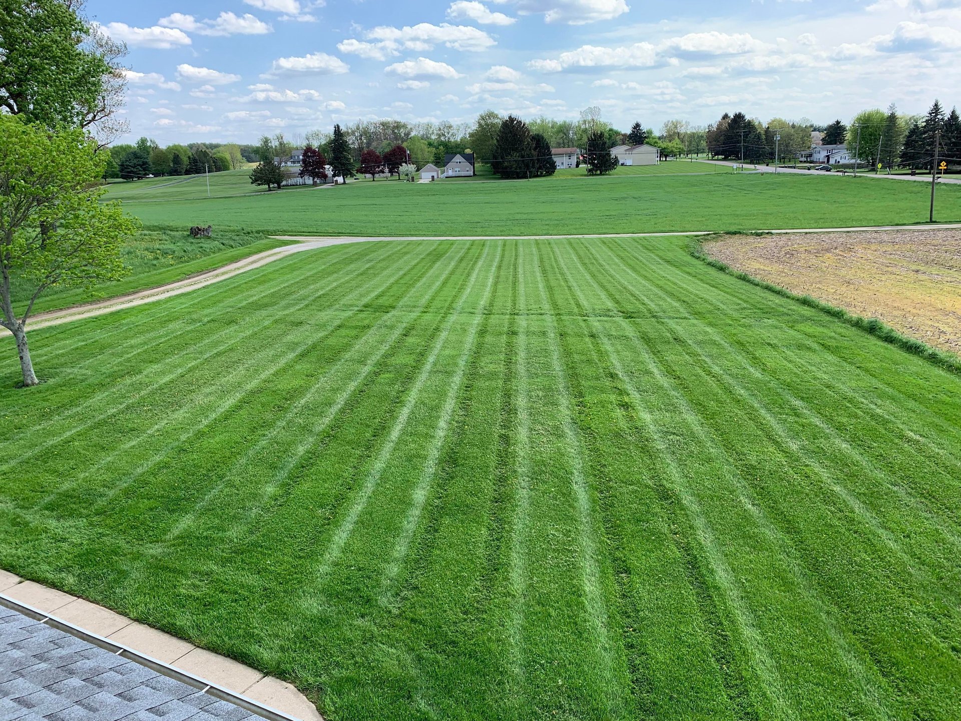A view of a well-maintained, grassy, perfect lawn with vibrant green colors and healthy grass