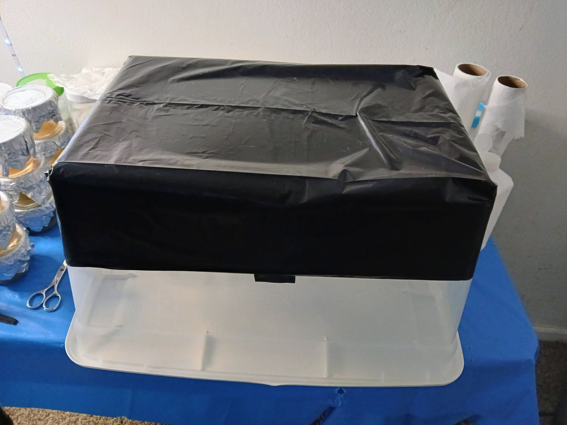 a liner bread pan methood around a mono tub for gourmet mushrooms