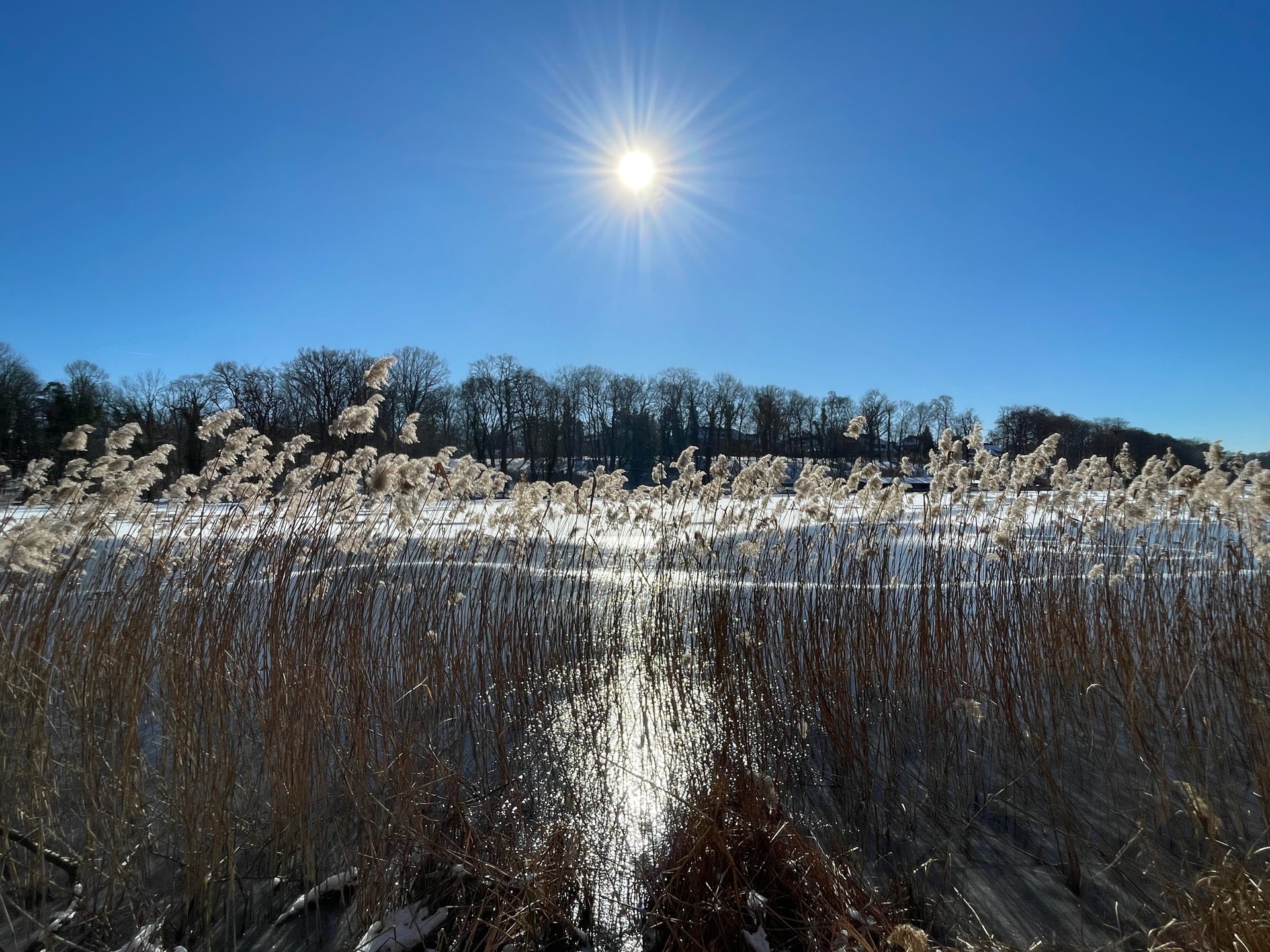 Werde still und du wirst sehen