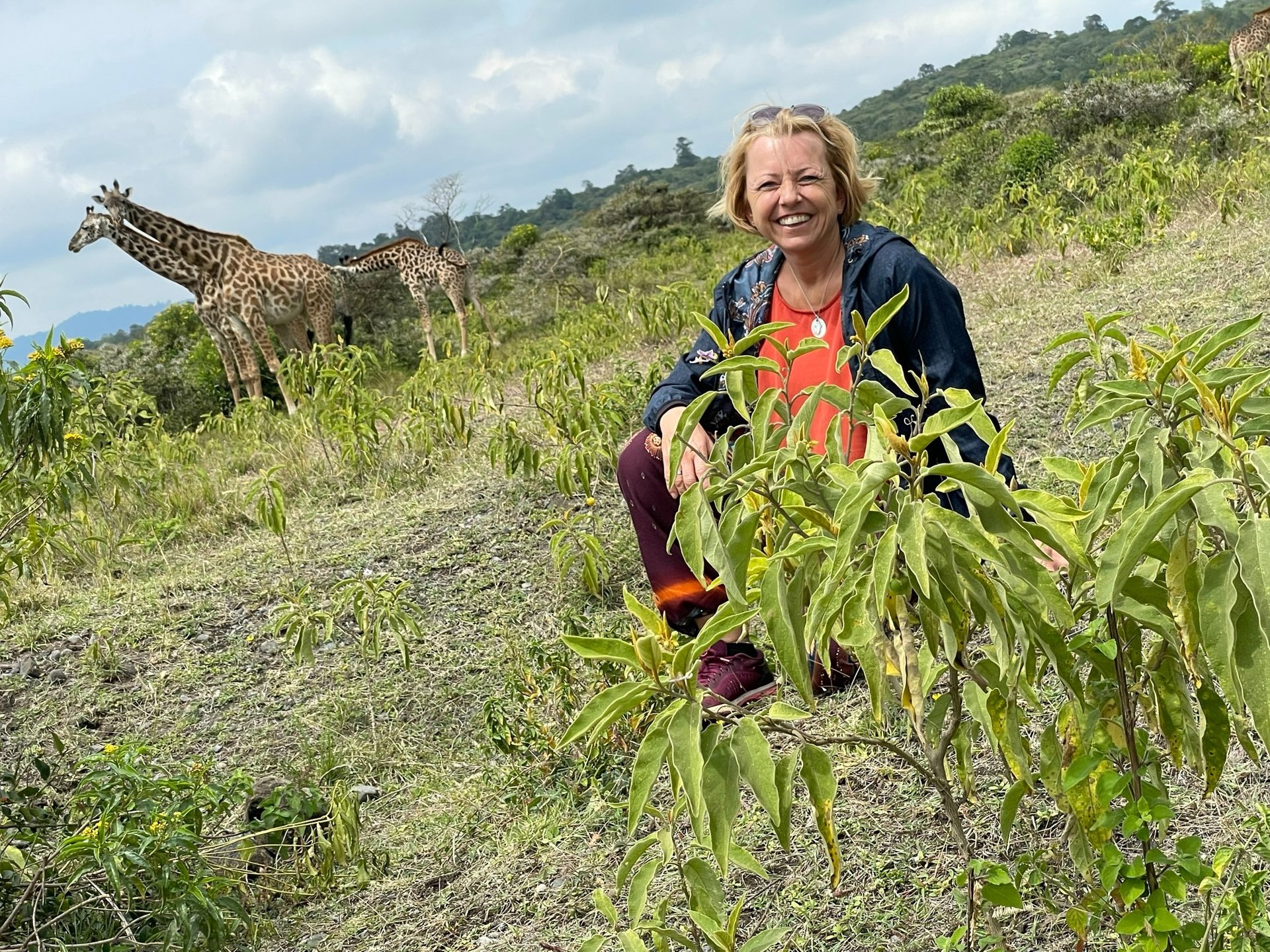 Wandersafari im Arusha-Nationalpark – hautnah mit Giraffen unterwegs.