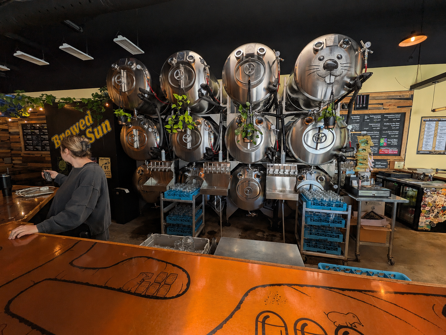 Row of Mueller Tanks at Mad Mole Brewing
