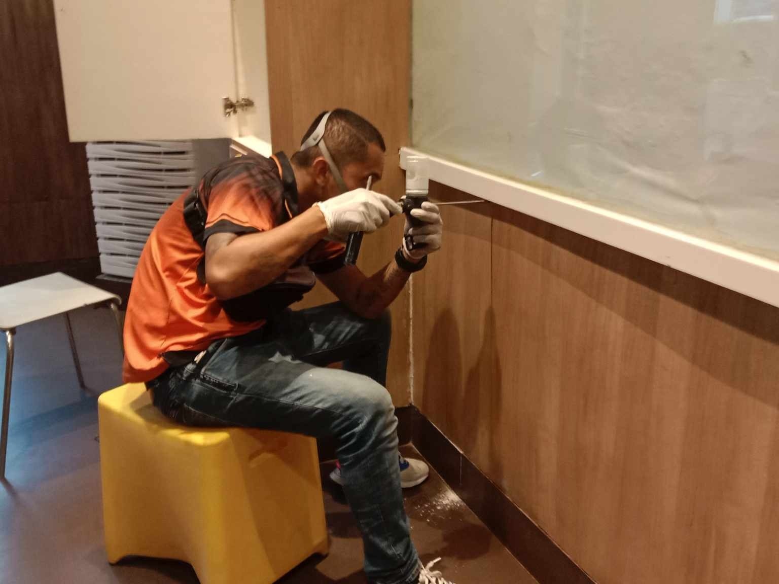 Professional pest control technician inspecting an indoor wall for termites using a specialized tool.