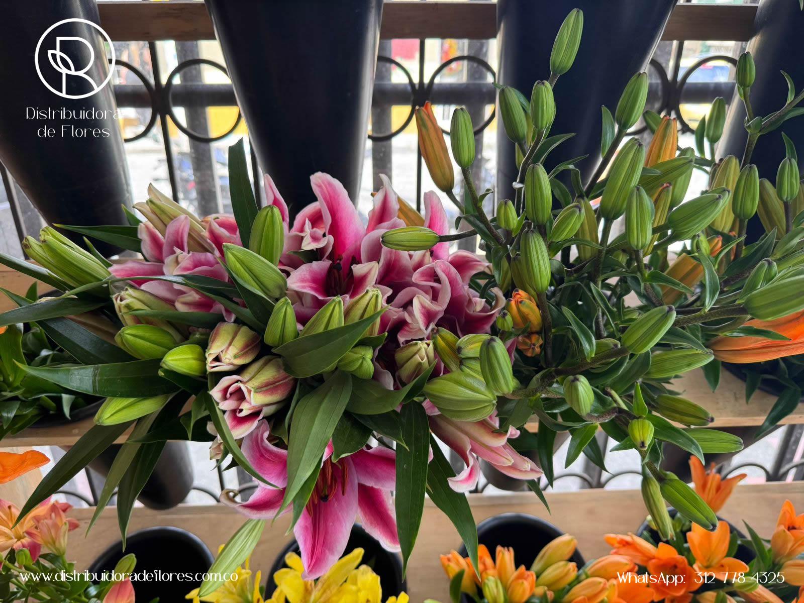 distribuidores de flores pereira